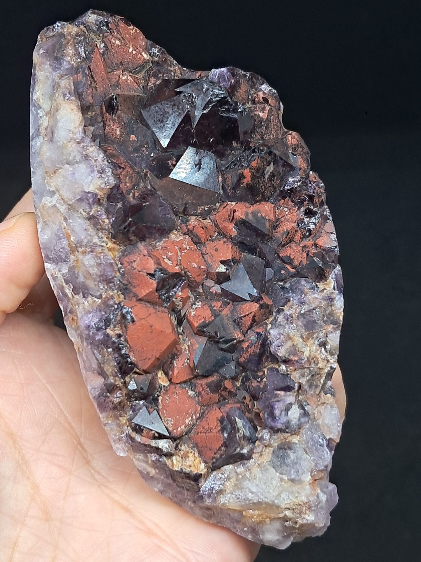 Amethyst w/ Hematite Cluster (Madhya Pradesh) | Mineral Specimen | Natural Stone #AM7