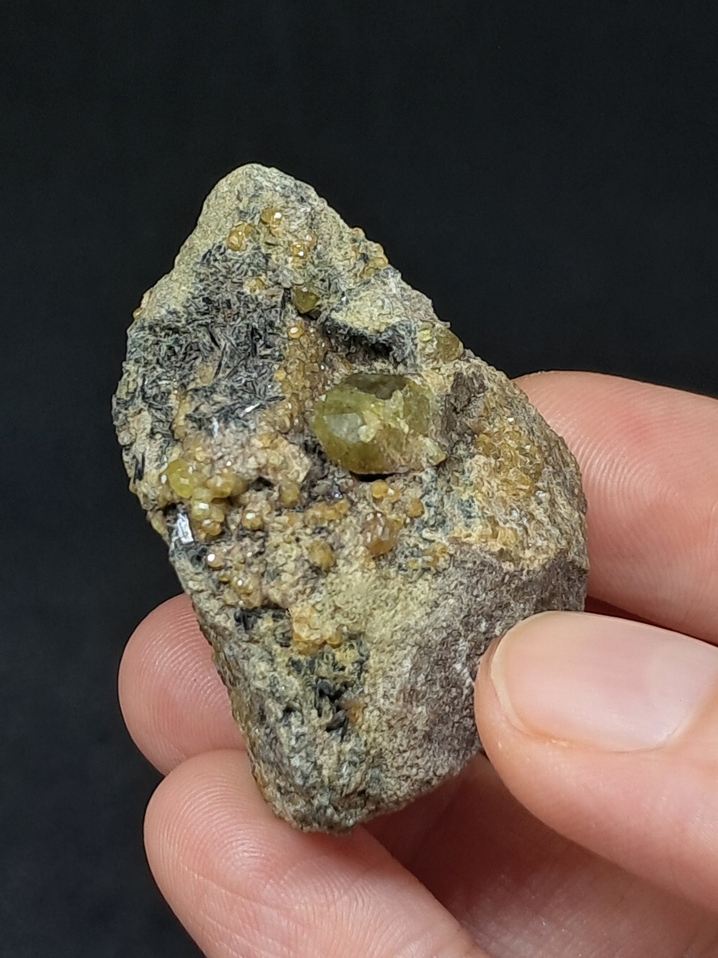 Green Garnet w/ Aegirine (Acmite) on Matrix (Mexico) Andradite Garnet Cluster |Rough Crystal Stone | Mineral Specimen #GR31