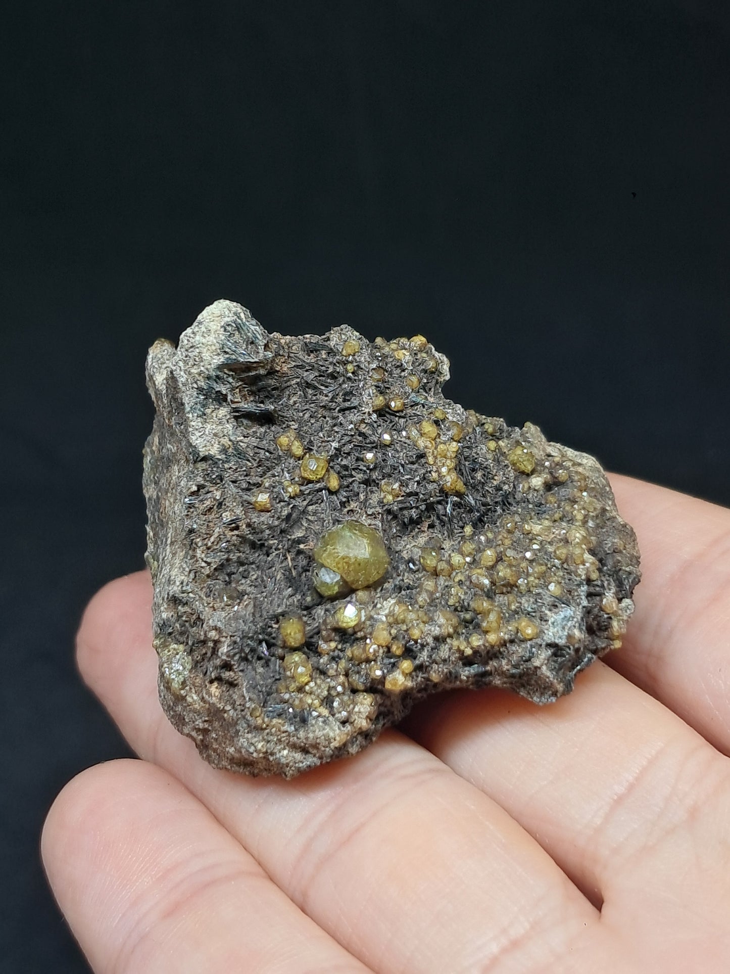 Green Garnet w/ Aegirine (Acmite) on Matrix (Mexico) Andradite Garnet Cluster |Rough Crystal Stone | Mineral Specimen #GR28