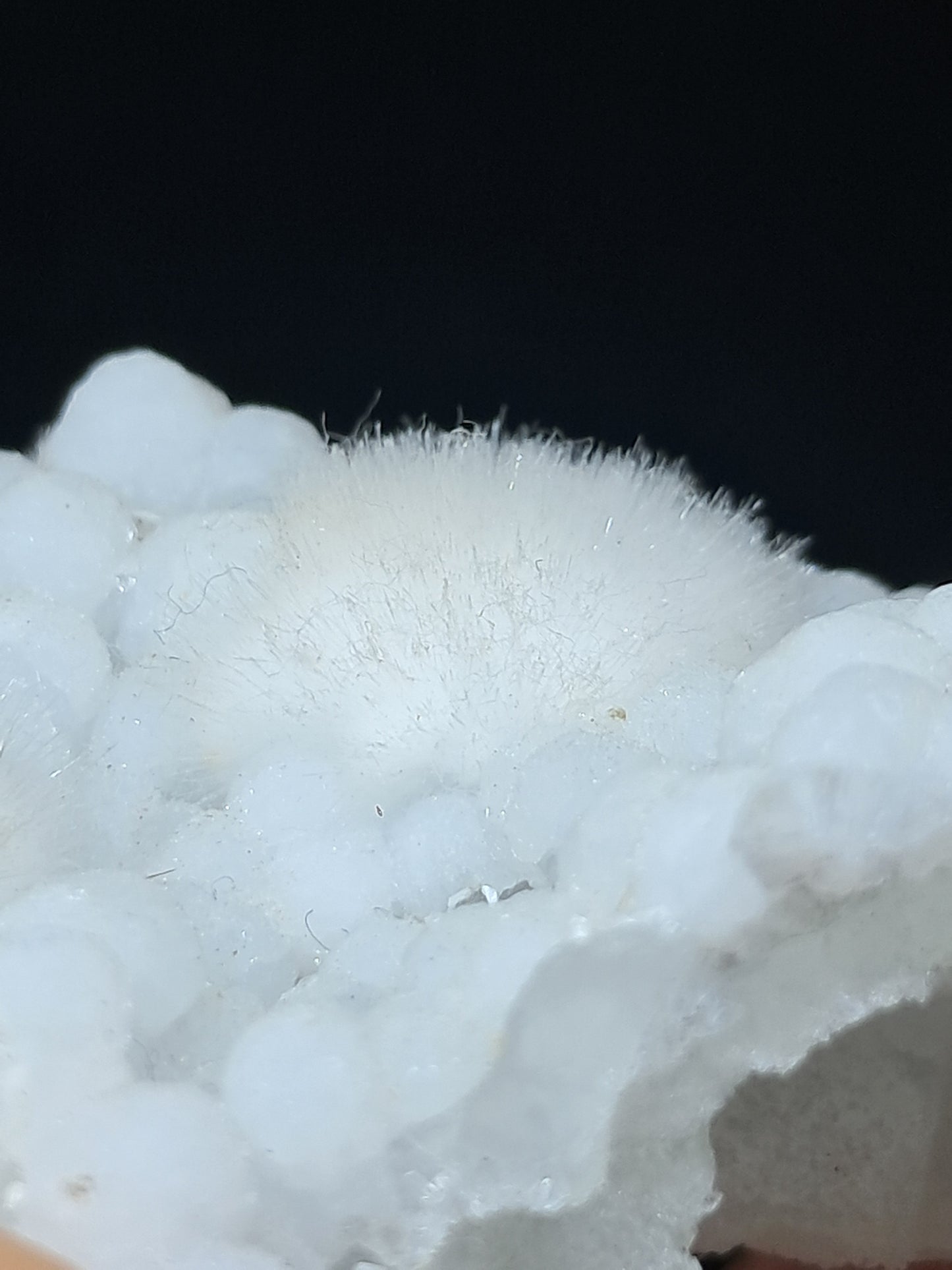 Okenite w/ Gyrolite on Prehenite Matrix (Mumbai) Mineral Specimen | Collector Grade | Natural Crystal #OK24