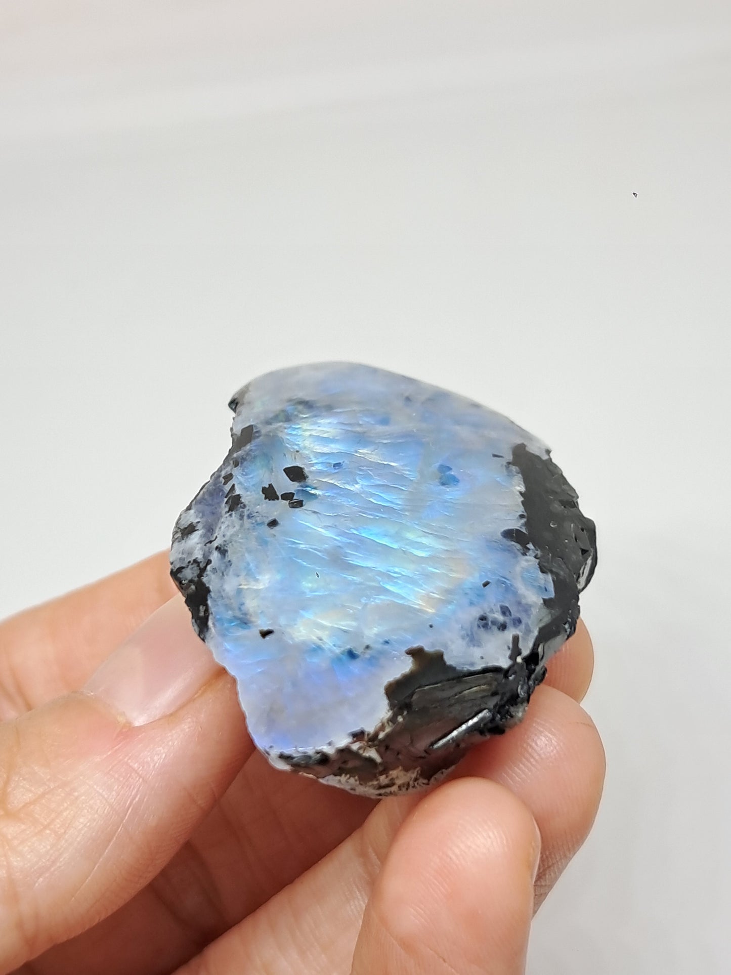 White Labradorite | Rainbow Moonstone *High Grade* (Tamil Nadu) Rough & Polished Stone | Natural Rock #MN16
