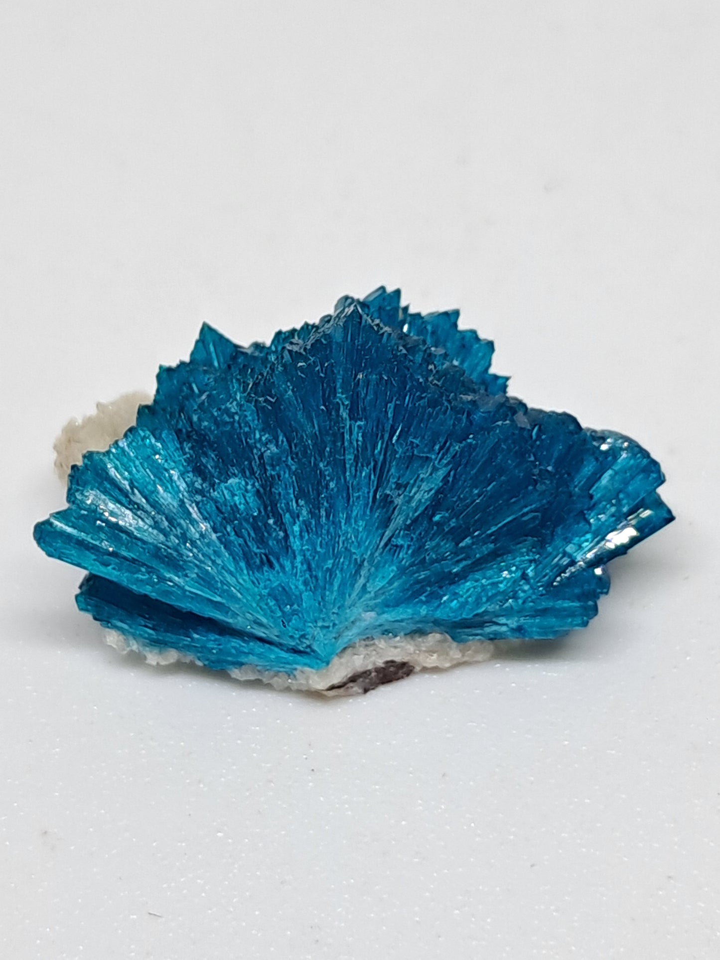 Cavansita *Alta Calidad* (Wagholi) Cristal en Bruto | Piedra Natural | Espécimen Mineral Raro #CV60