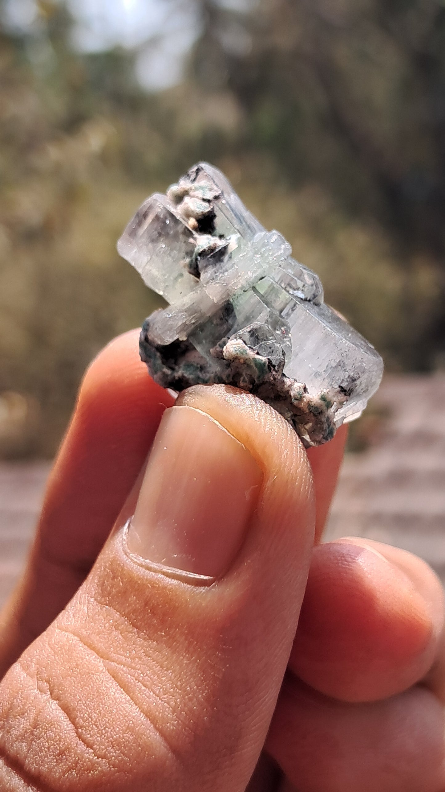 Green Apophyllite (Fluorapophyllite) (Ajanta) Natural Crystal | Mineral Specimen #GA30