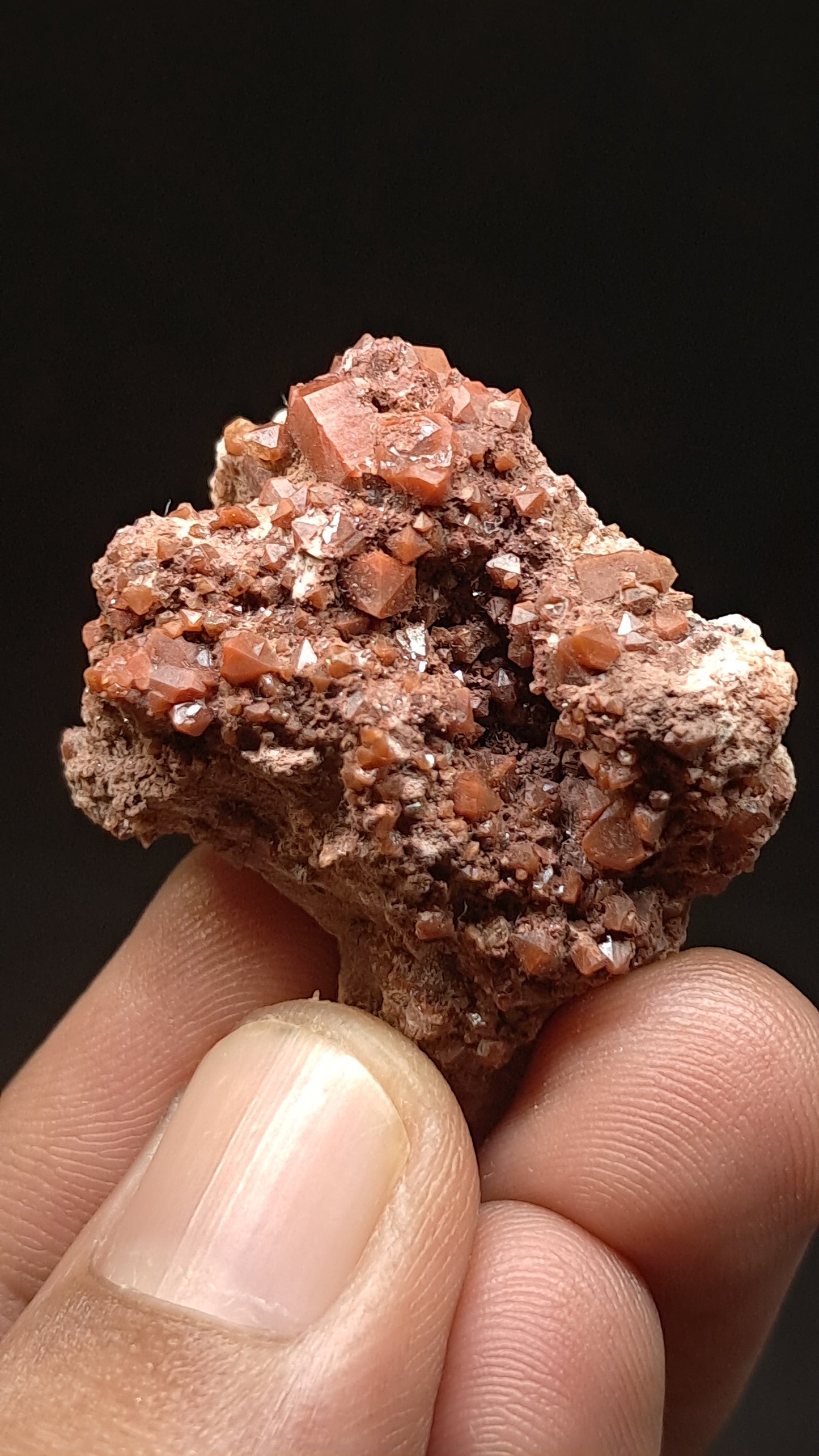 Jacinto de Compostela Quartz Cluster On Matrix | Natural Crystal | Mineral Specimen #JCQ8