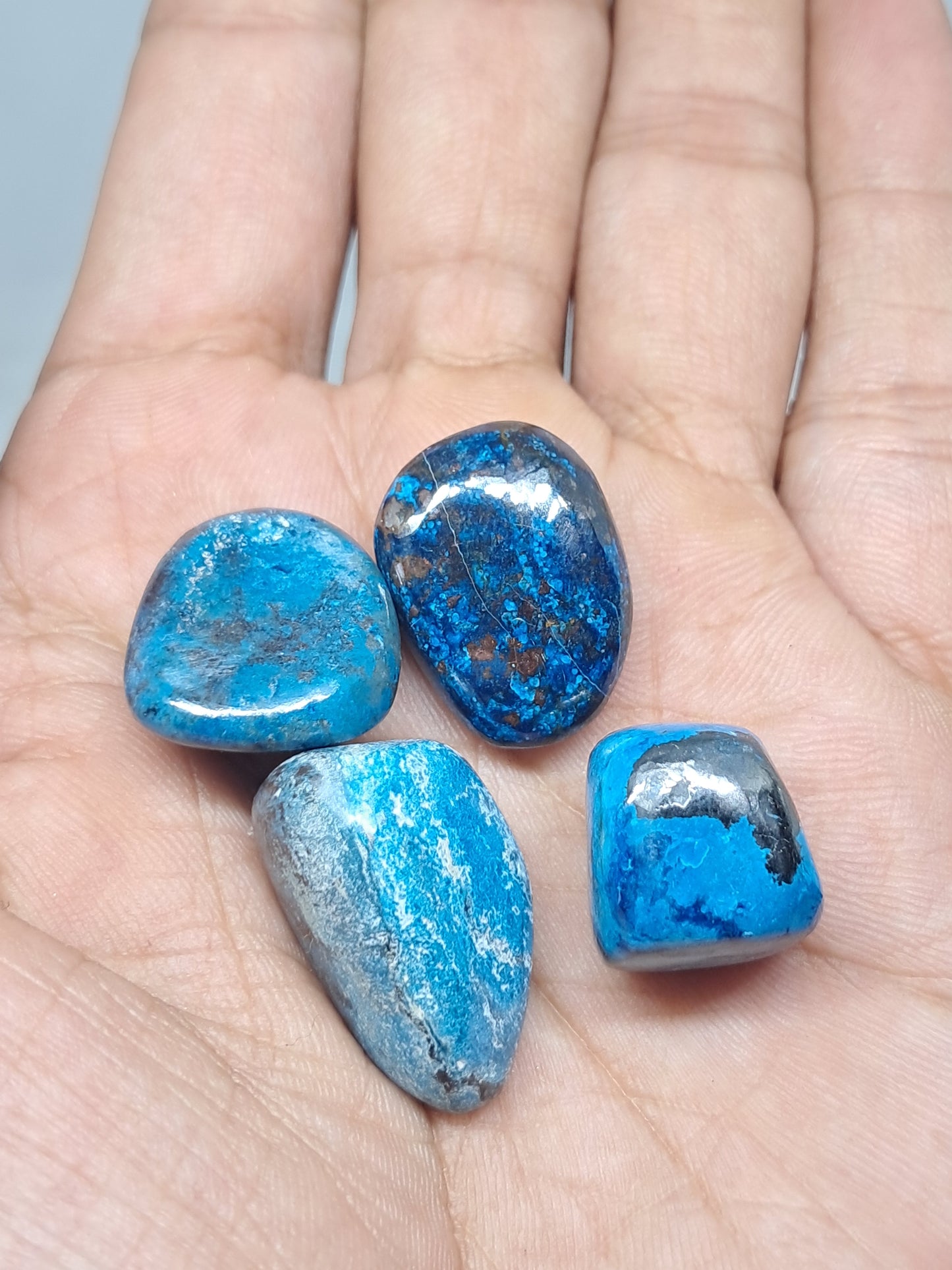 Chrysocolla w/ Azurite, Shattuckite Tumbled | Polished Natural Stone #CM16