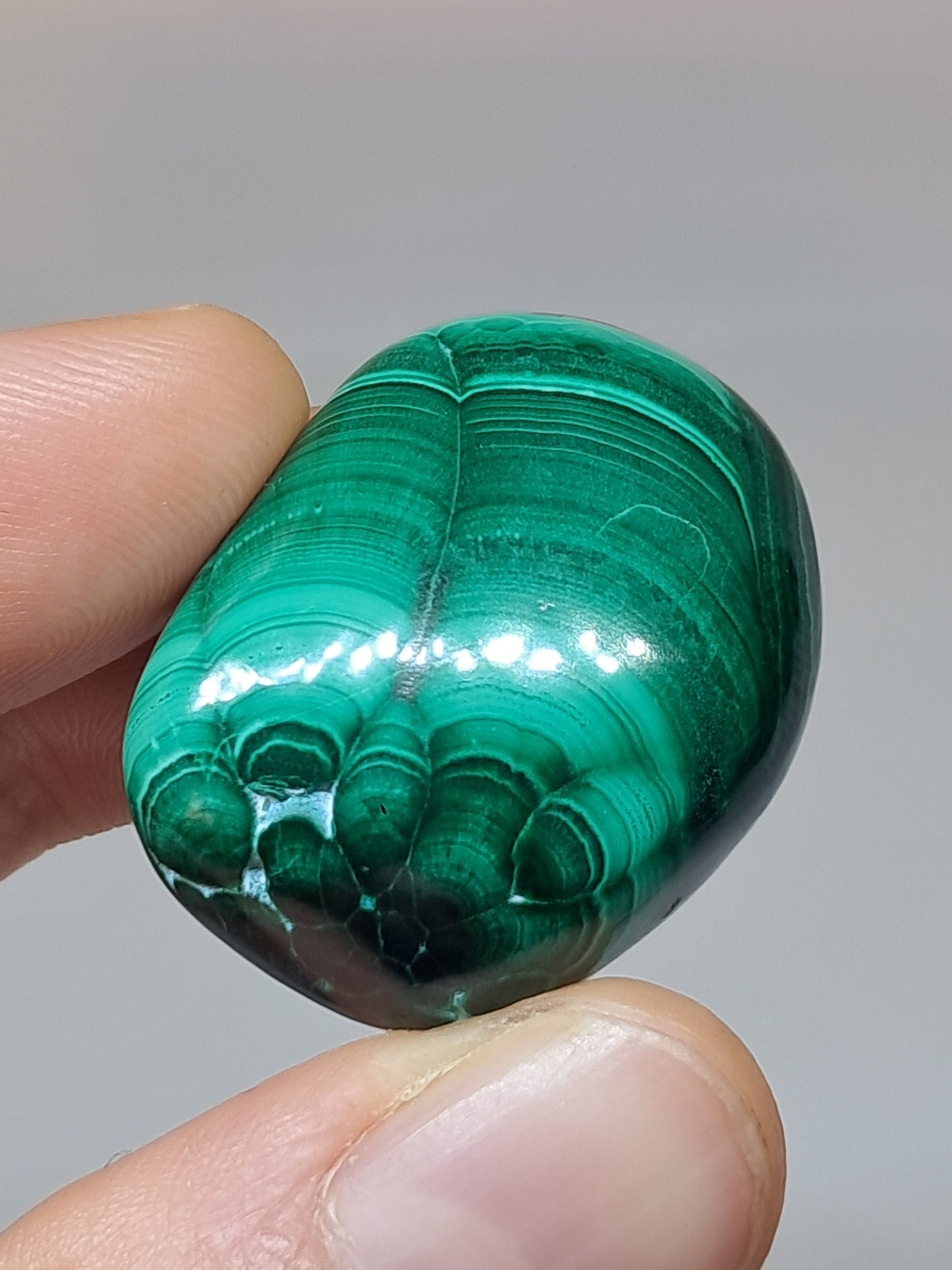 Chrysocolla w/ Malachite Tumble | Polished Free Form | Good Quality | Natural Stone