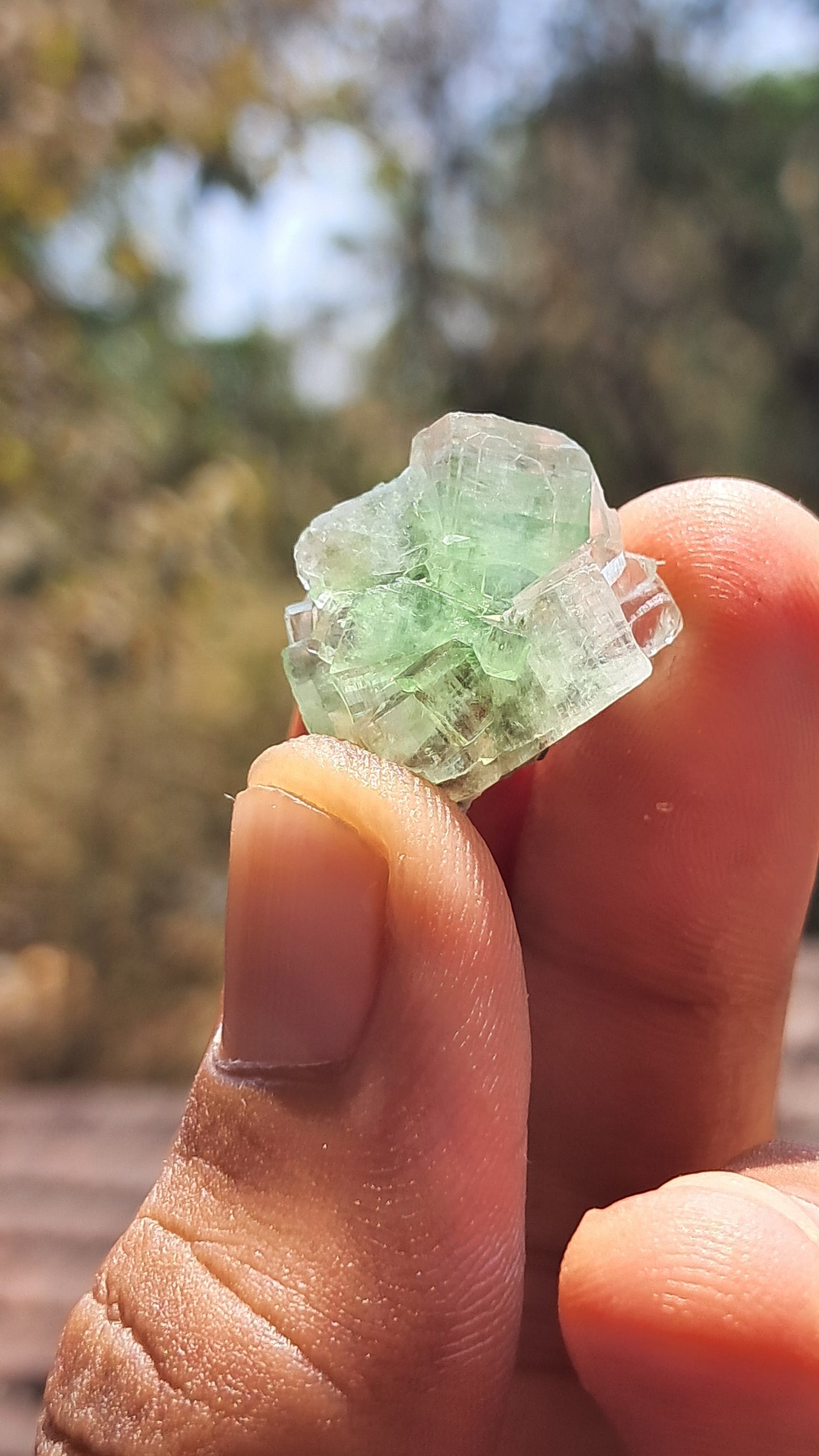 Green Apophyllite Flower (Fluorapophyllite) (Ajanta) Natural Crystal | Mineral Specimen #GA32