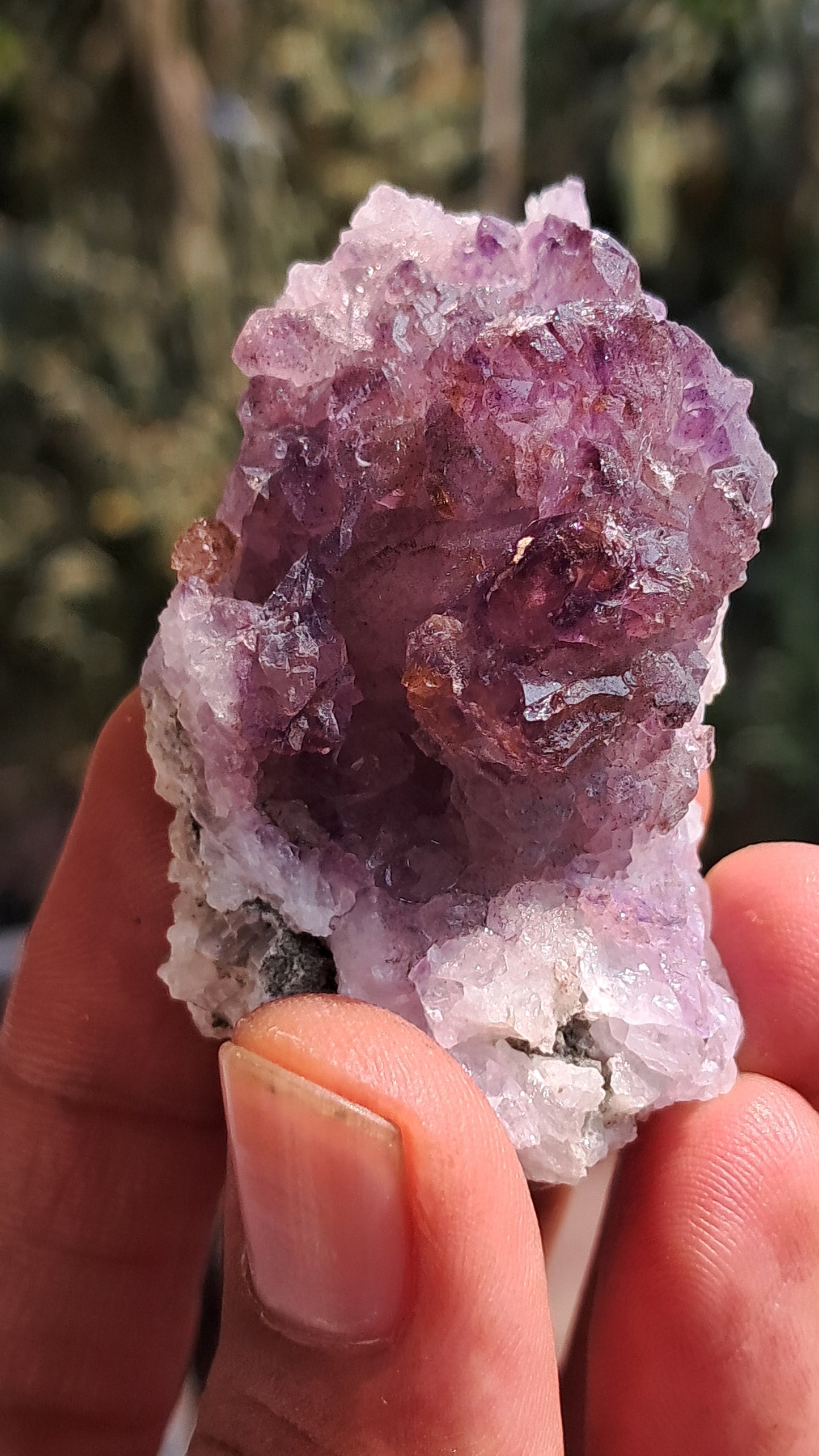 Karur Amethyst Scepter Cluster | "Super Seven" inclusions | Mineral Specimen #KA187