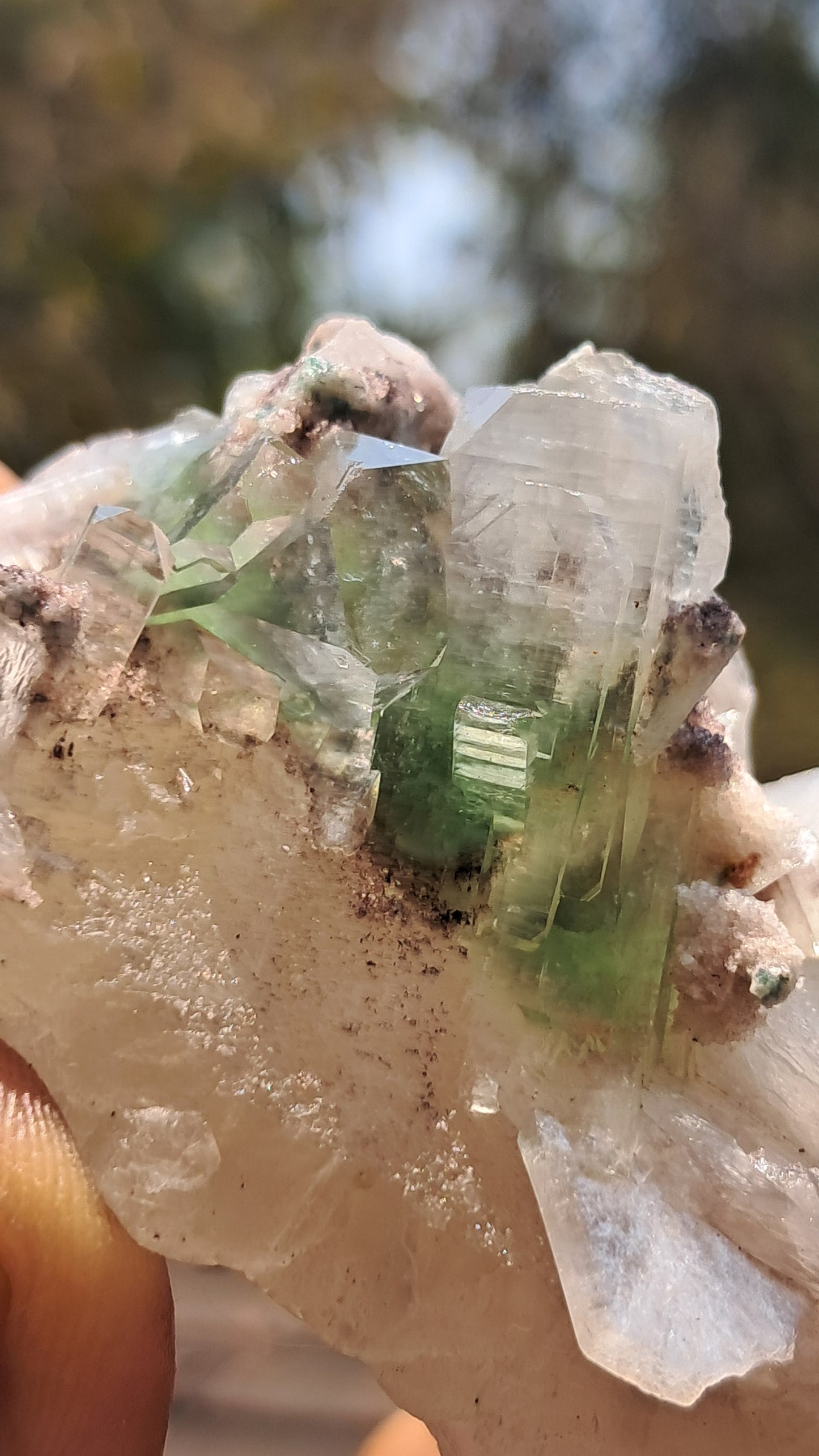 Apofilita Verde (Fluorapofilita) con Estilbita sobre Matriz de Calcedonia Botroidal (Ajanta) Cristal Natural | Muestra de Mineral #GA19