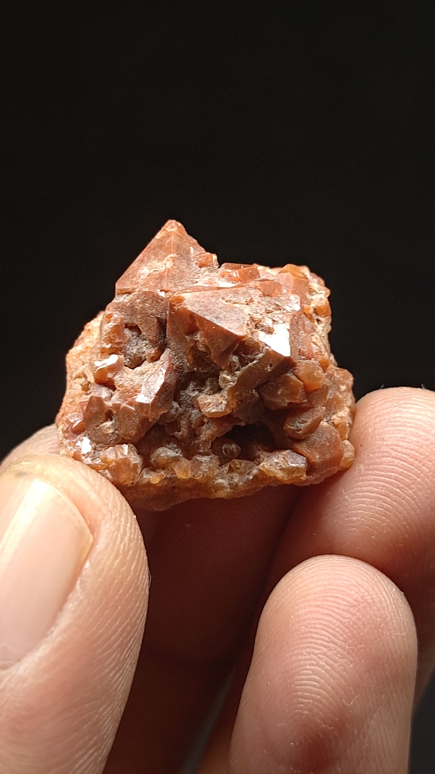 Jacinto de Compostela Quartz | Natural Crystal | Mineral Specimen #JCQ1