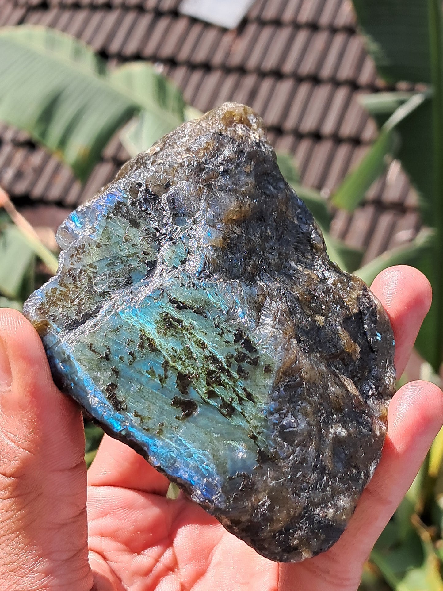 Labradorite Raw (Madagascar) | Strong Flash #LB5