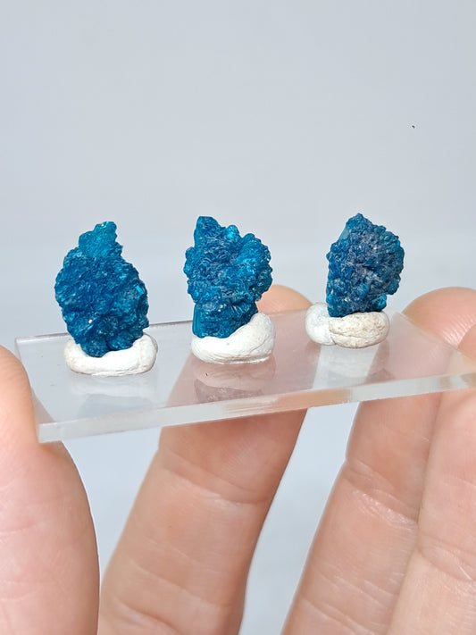 Set of 3 Cavansite Flowers *High Grade* (Wagholi) Rough Stone | Natural Crystal | Rare Mineral Specimen #CV44