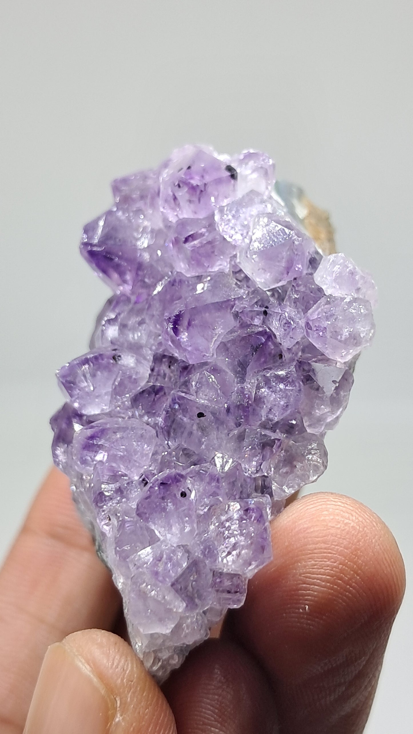 Amethyst Cluster (Brazil) | Natural Crystal | Mineral Specimen #AMB15