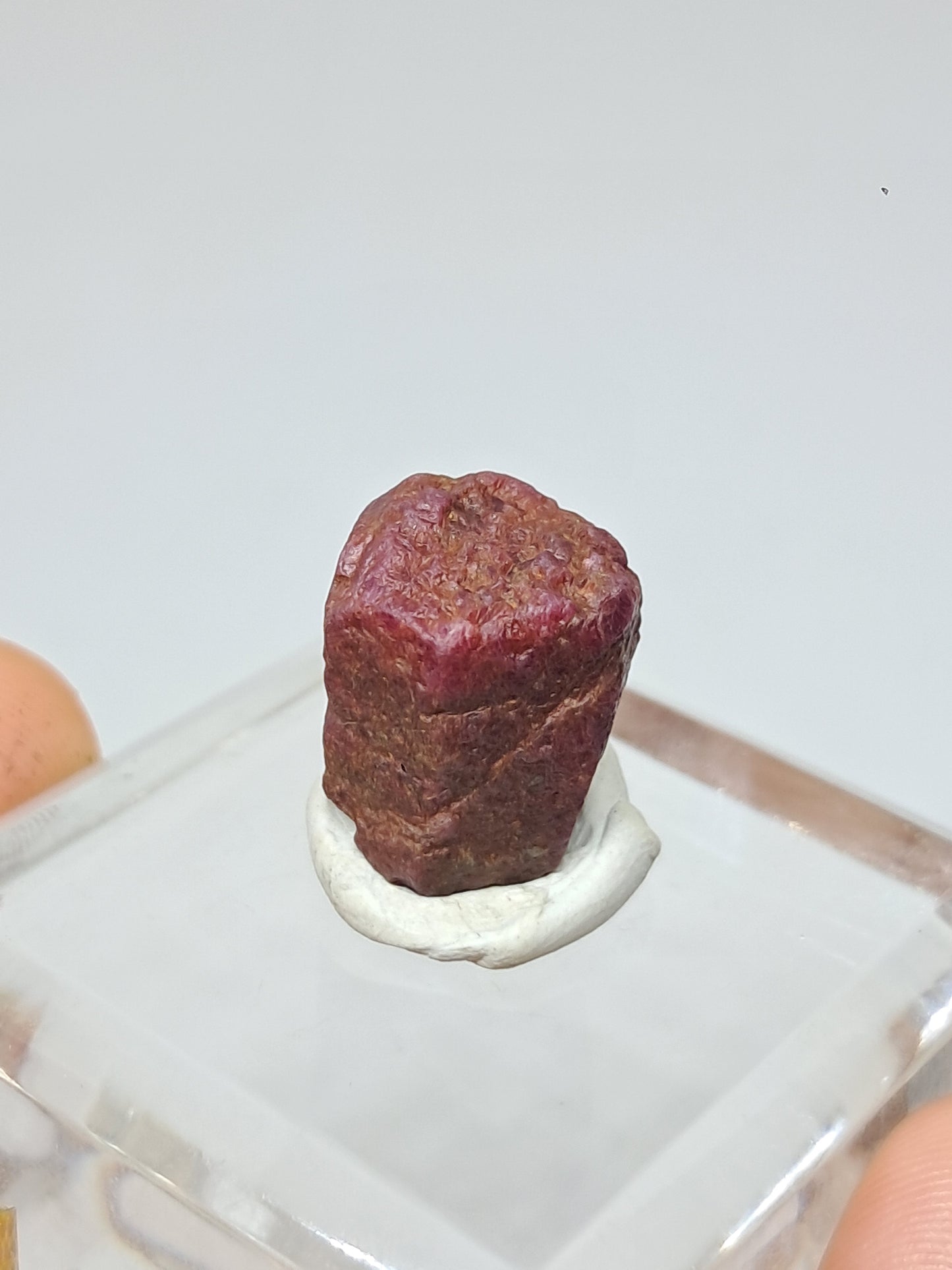 Cristal de rubí en bruto (Tamil Nadu) Piedra natural | Muestra de mineral #RB34