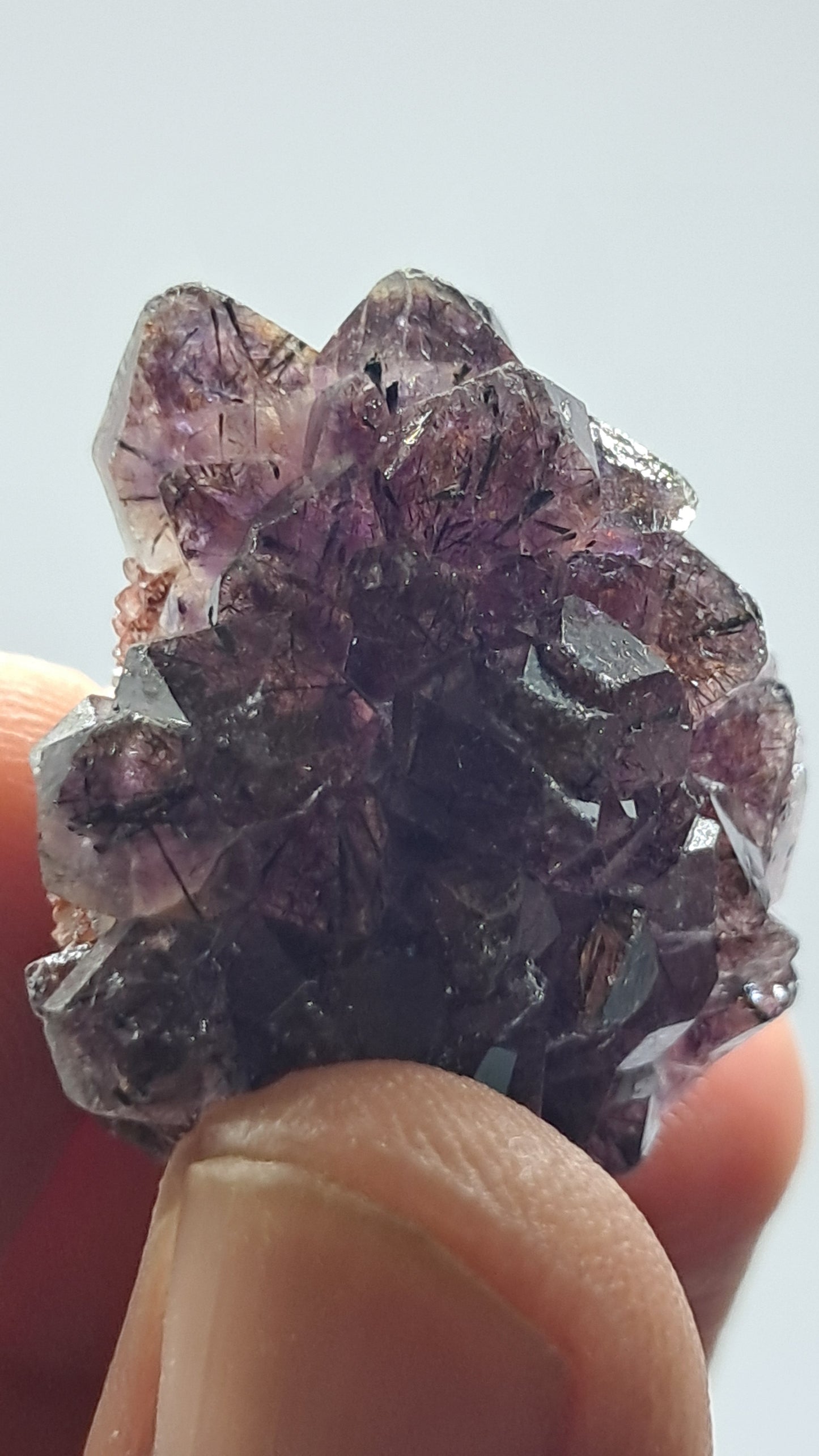 Amatista Elestial Morada Oscura sobre Cuarzo | Inclusiones de Hematita Goethita Rutilo | Cristal Natural | Muestra Mineral #KA194