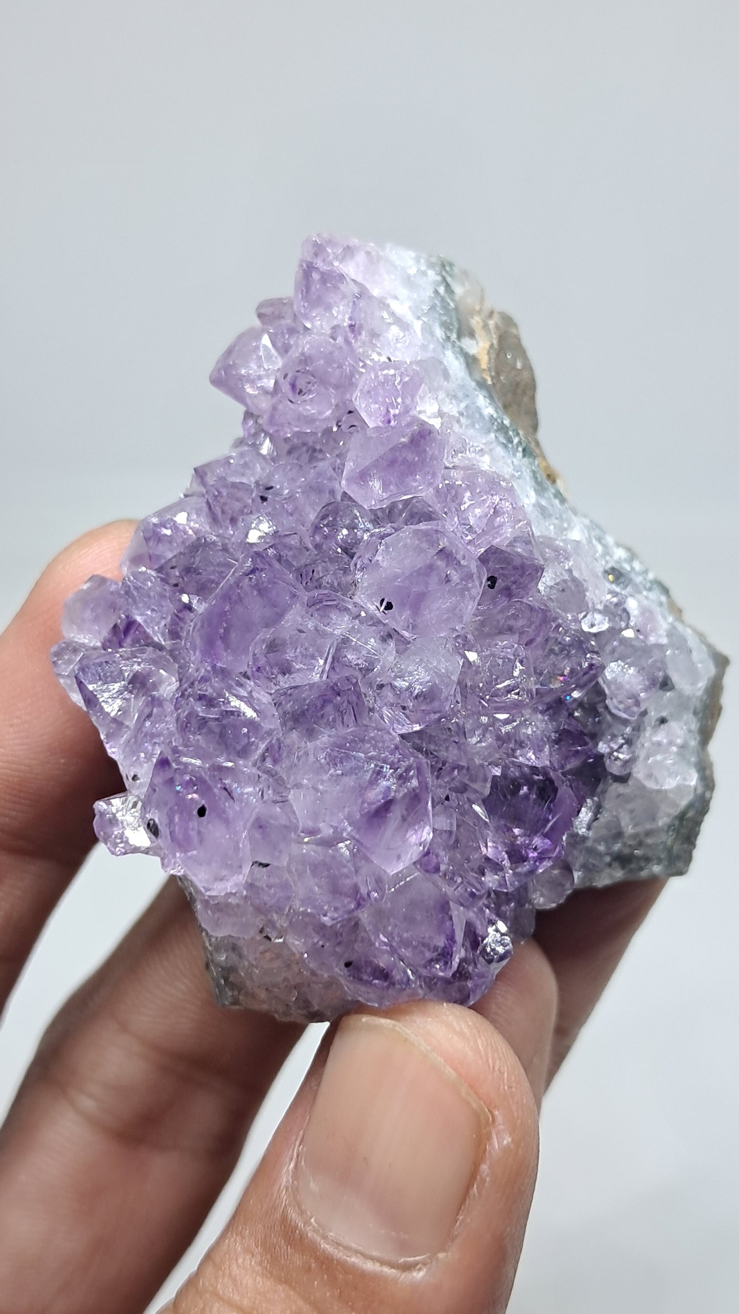 Amethyst Cluster (Brazil) | Natural Crystal | Mineral Specimen #AMB15