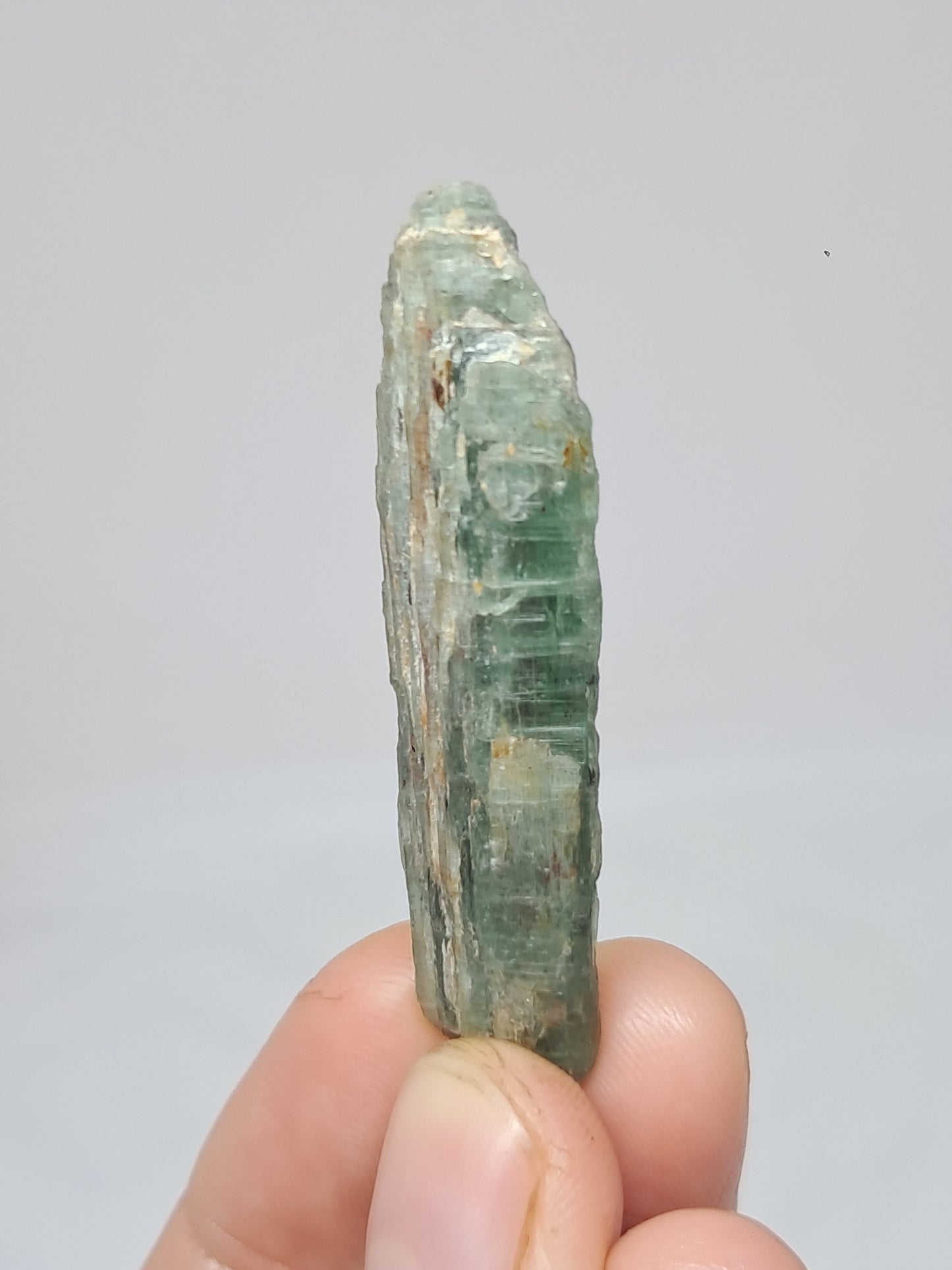 Green Kyanite (Tamil Nadu) Natural Stone #KY7