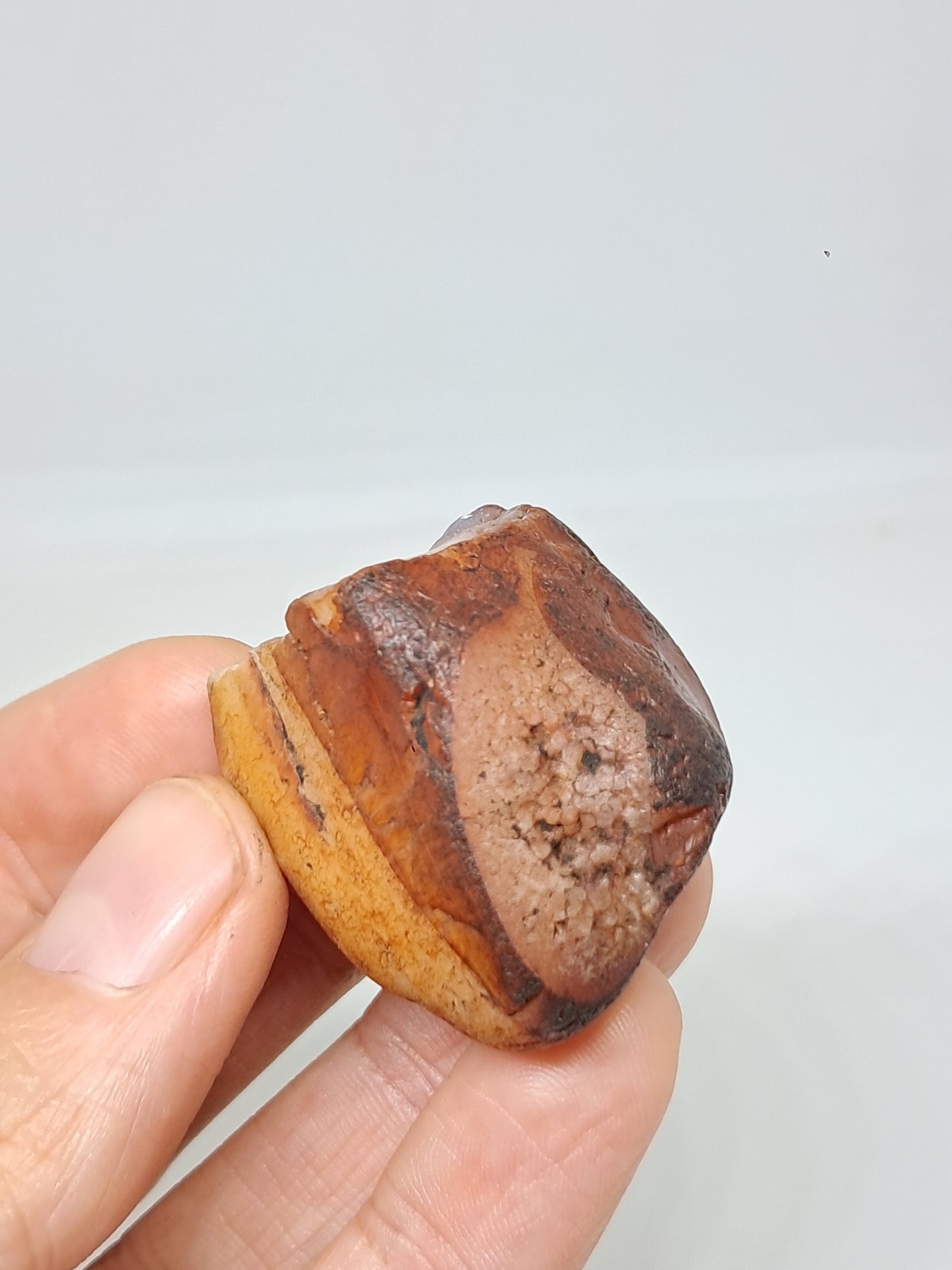 Rough Carnelian (India) Raw Stone | Natural Crystal | Mineral Specimen #CRN31