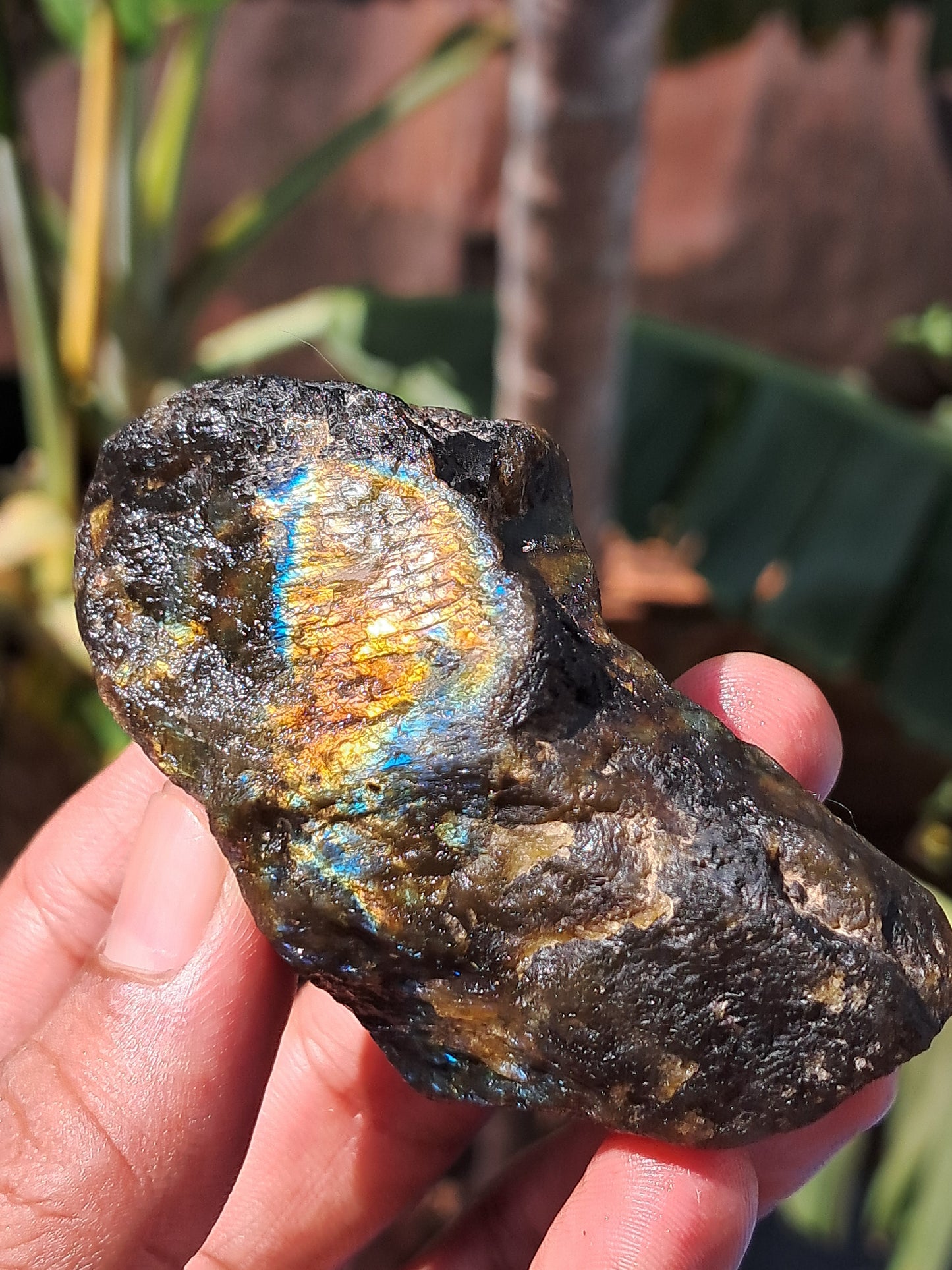 Labradorite Raw (Madagascar) | Strong Flash #LB8