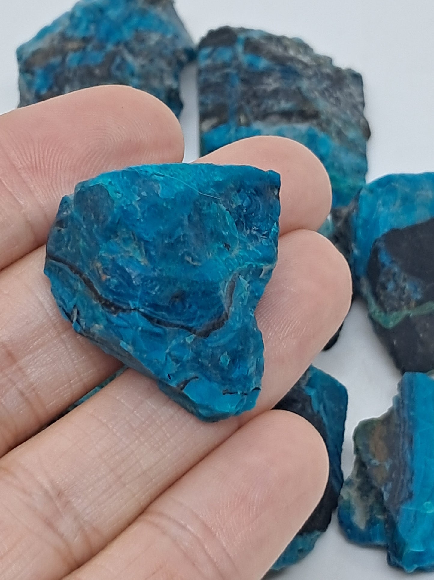 Blue Opal from Chile (Atacama) *New Find*| Rough Natural Stone | Rare Mineral Specimen #CBO1