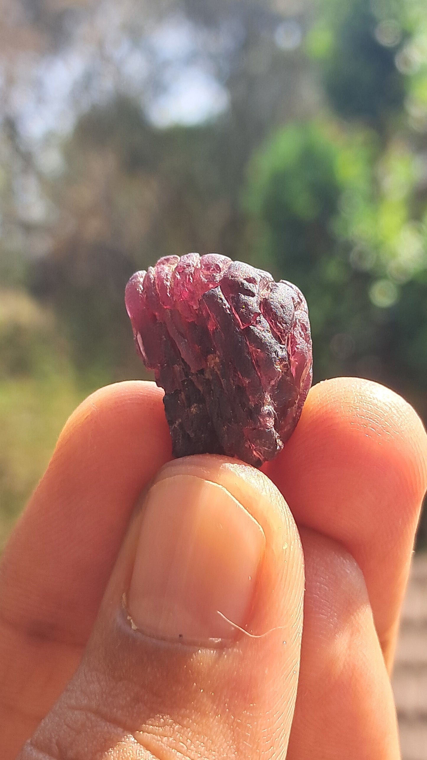 Granate Rojo (Karur) | Pulido por el río | Piedra Natural #RG6
