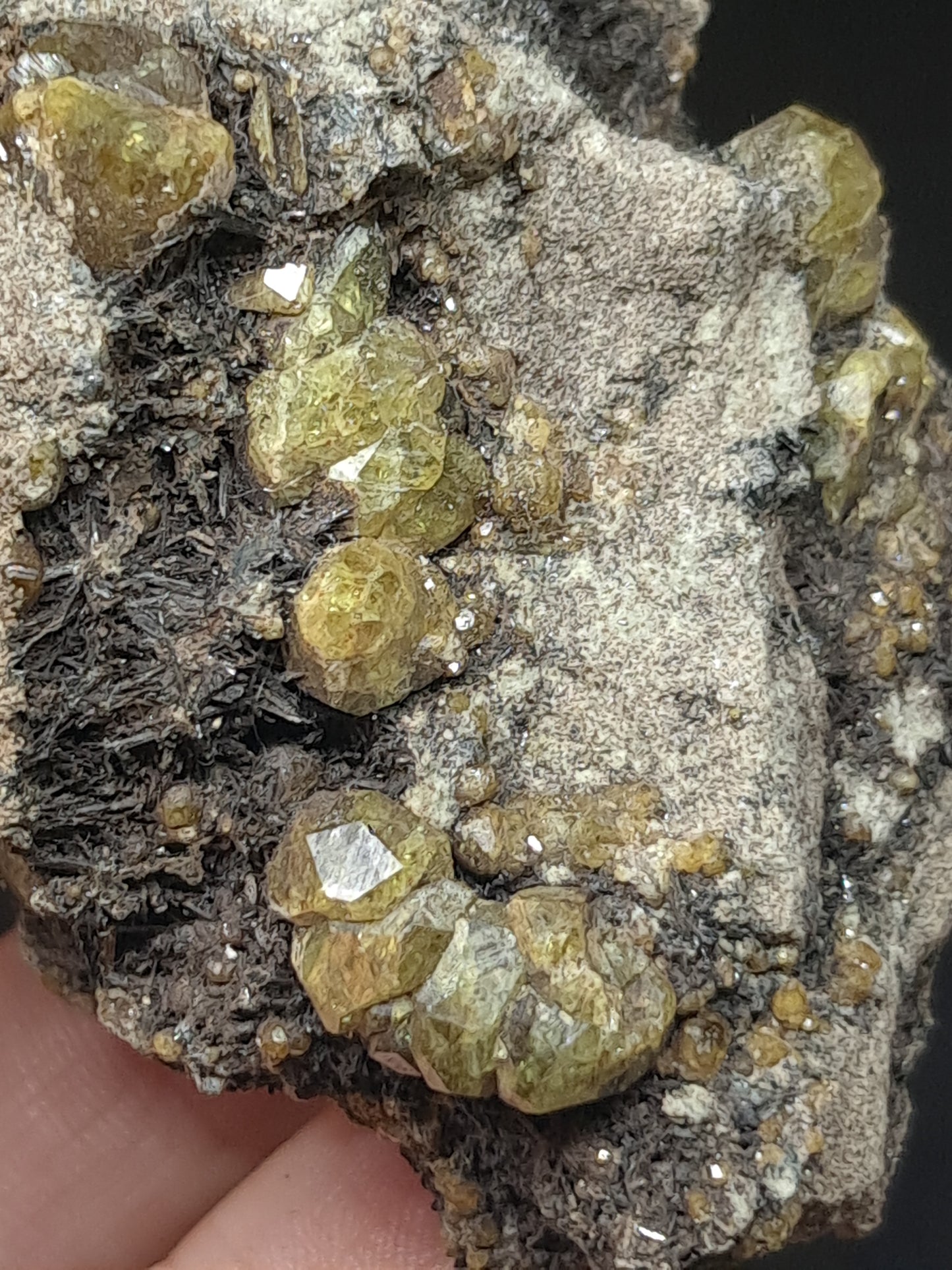 Green Garnet w/ Aegirine (Acmite) on Matrix (Mexico) Andradite Garnet Cluster |Rough Crystal Stone | Mineral Specimen #GR30