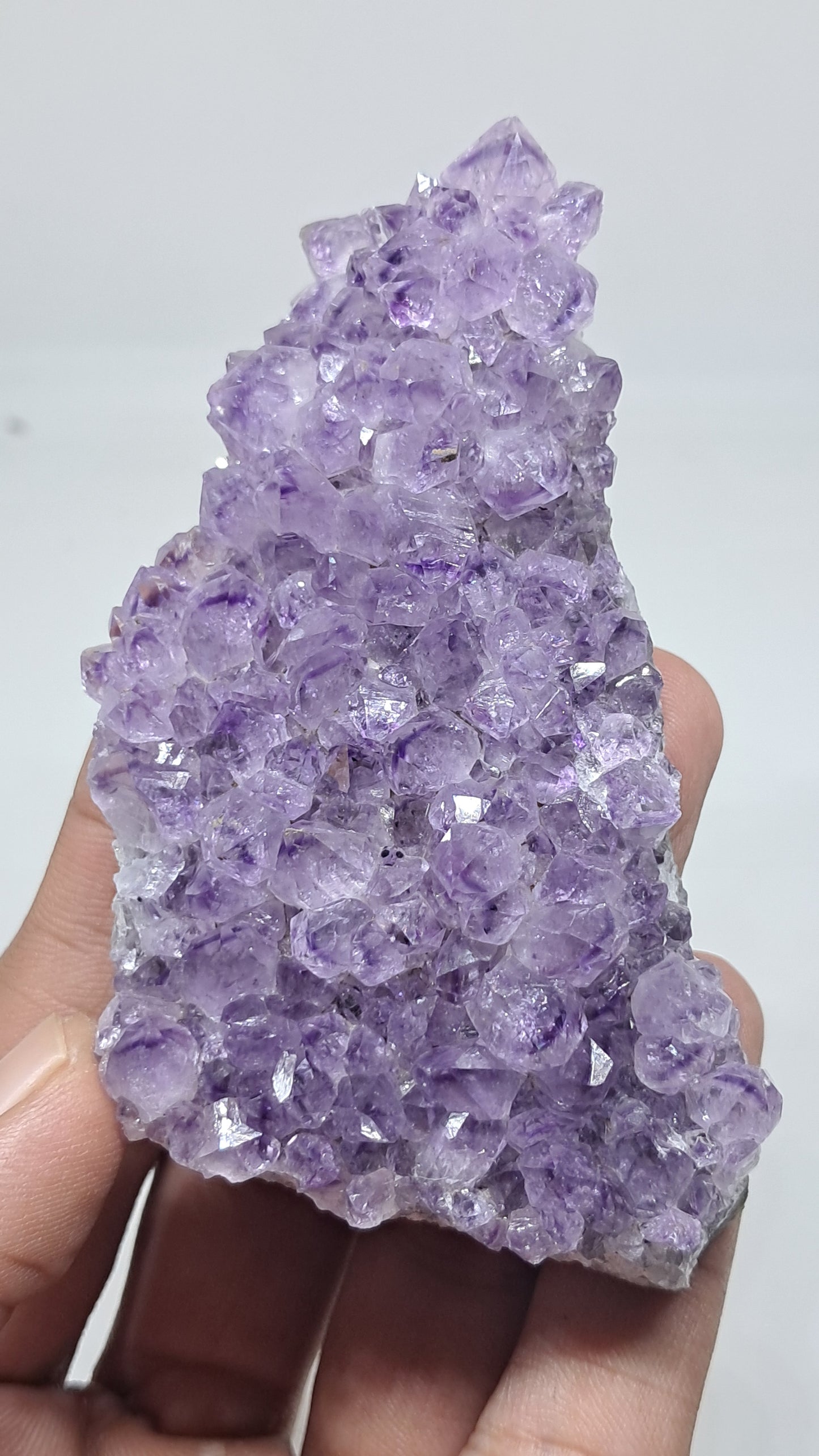 Deep Purple Amethyst (Brazil) | Natural Cluster | Mineral Specimen #AMB12