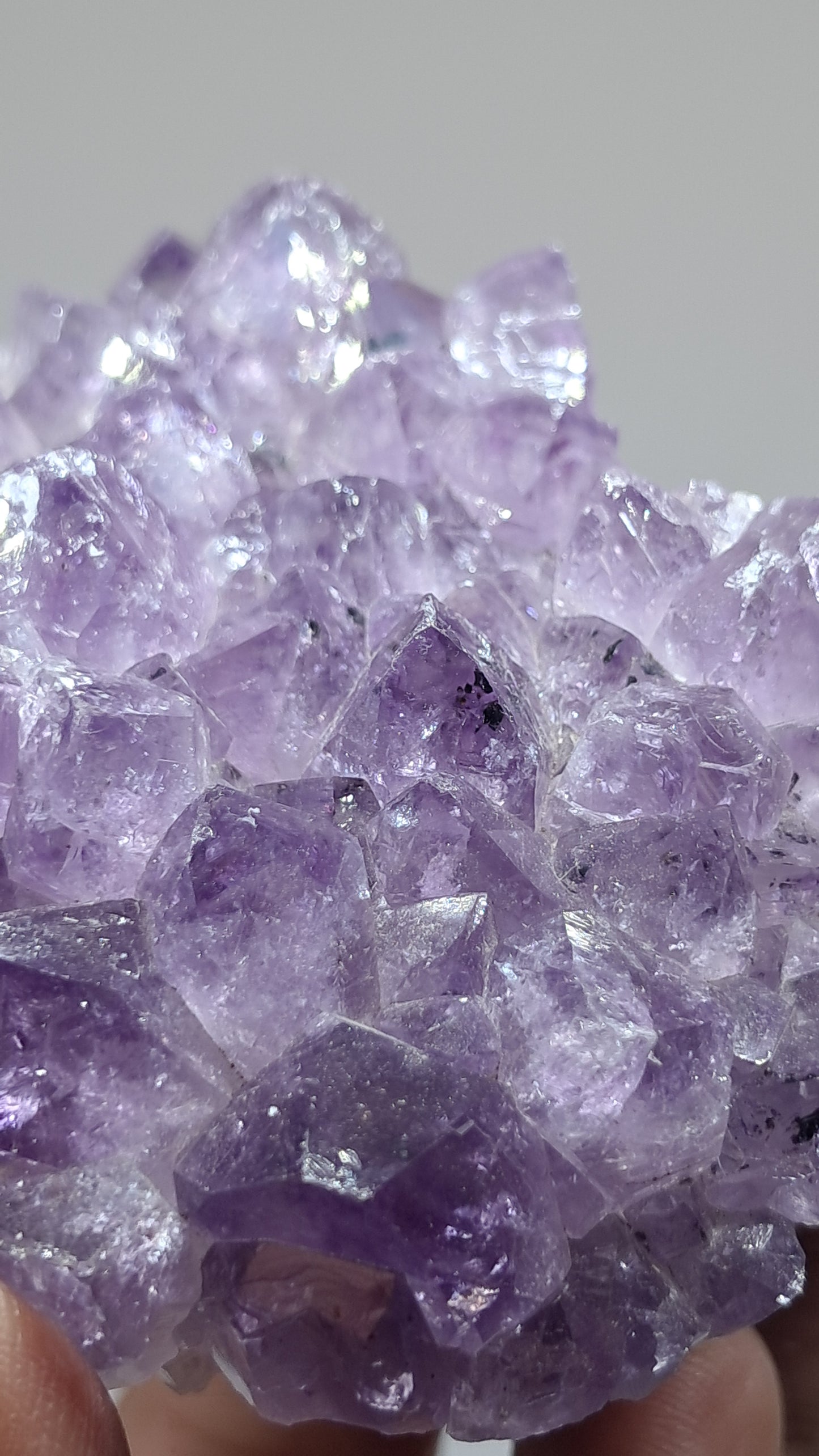 Amatista Morada Intensa (Brasil) | Drusa Natural | Mineral de Colección #AMB9
