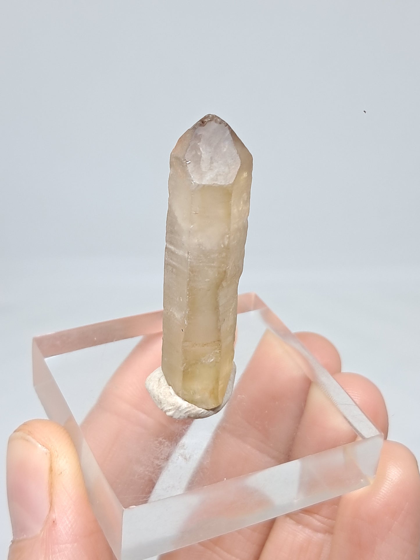 Natural Citrine Crystal Point (Democratic Republic of Congo) #CTN33