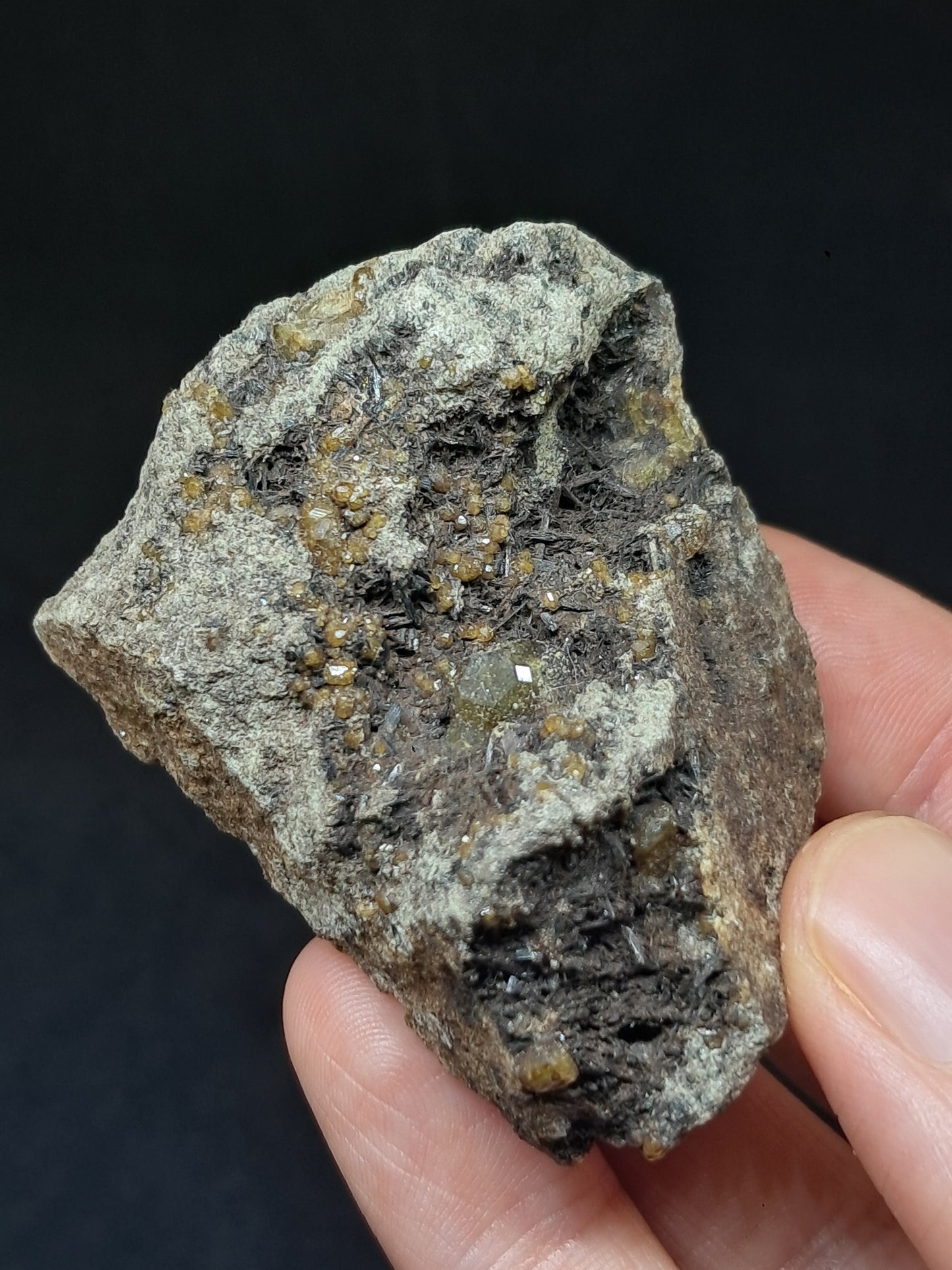 Green Garnet w/ Aegirine (Acmite) on Matrix (Mexico) Andradite Garnet Cluster |Rough Crystal Stone | Mineral Specimen #GR29
