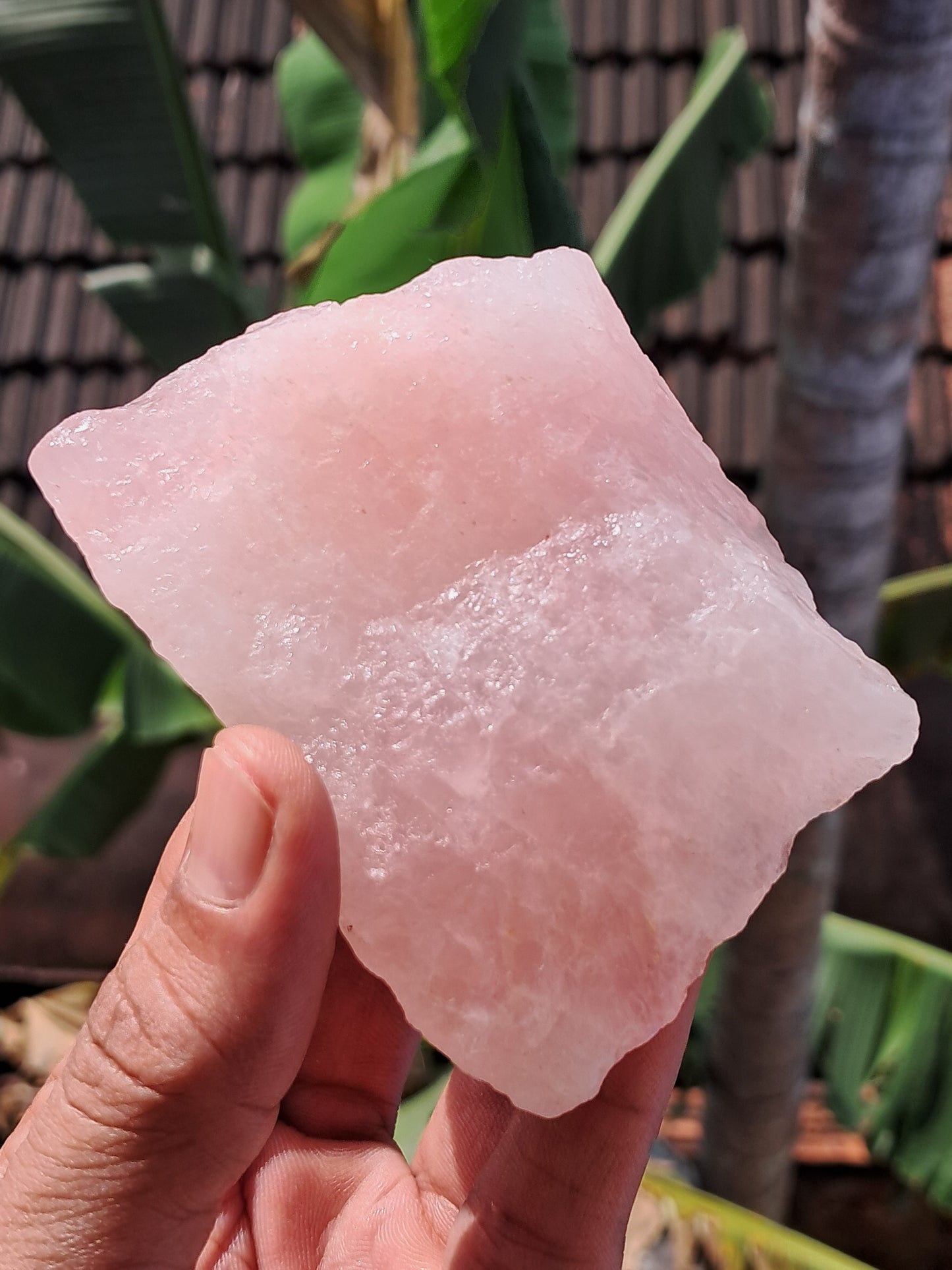 Rose Quartz (Rajasthan) Rough Stone | Natural Gemstone #RQ7
