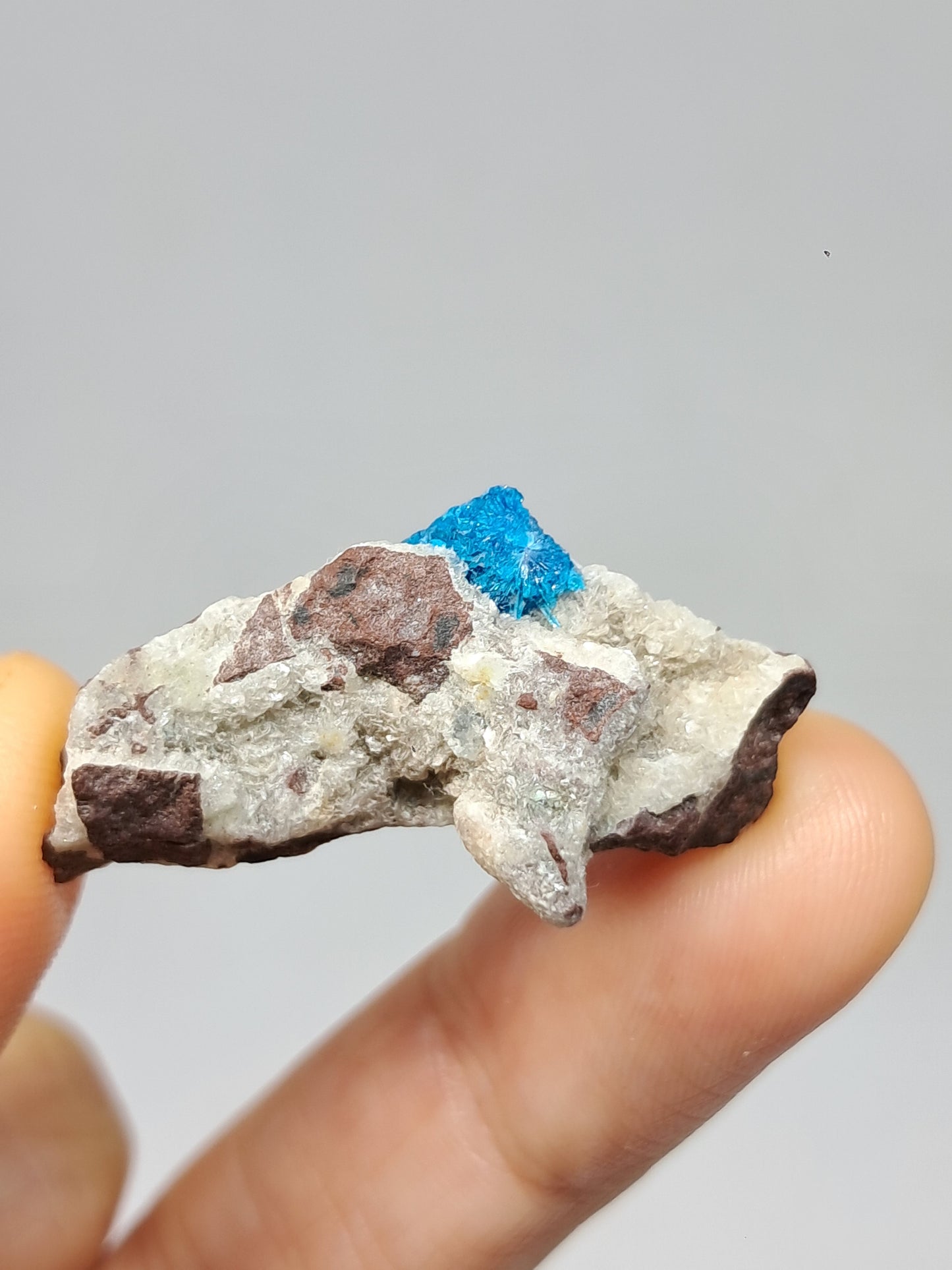 Set of Cavansite & Pentagonite on Matrix (Wagholi) Rough Stone | Natural Crystal | Rare Mineral Specimen #CV42