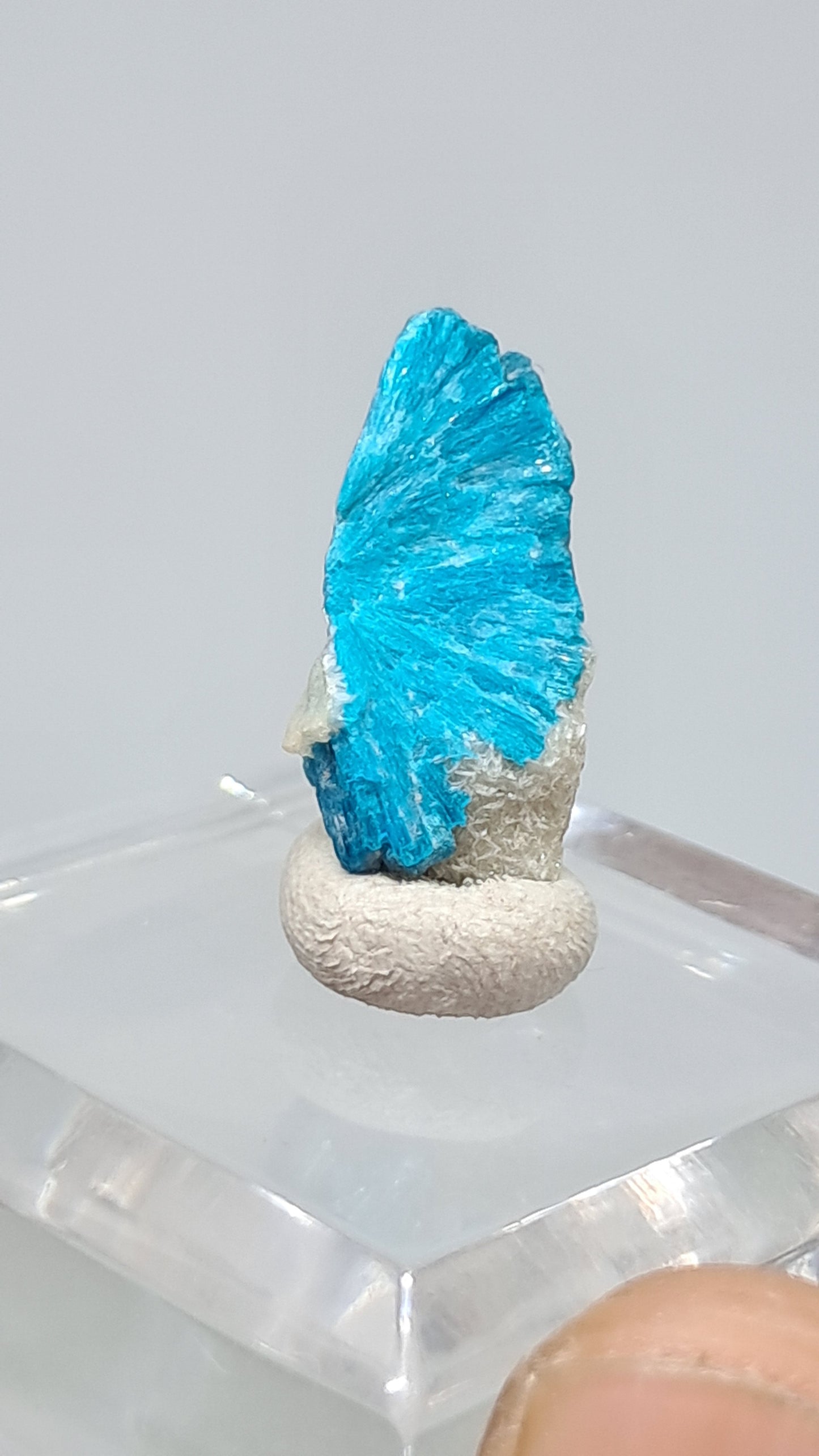 Cavansita en Matriz (Wagholi) Cristal en Bruto | Piedra Natural | Ejemplar Mineral Raro #CV67