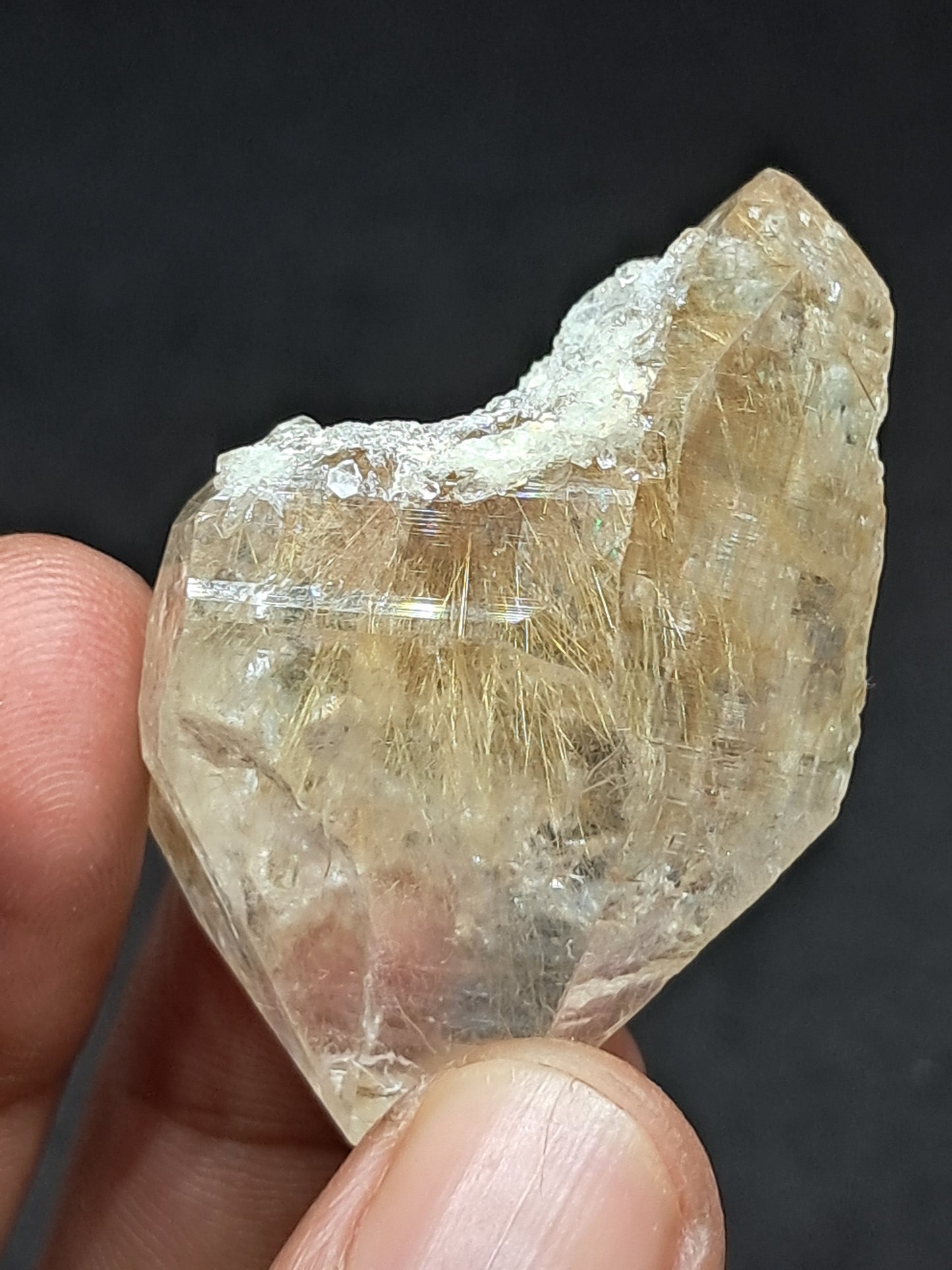 Himalayan Quartz w/ Golden Rutile and Chlorite (Himachal Pradesh) Self-healed |  Natural Crystal #CH60
