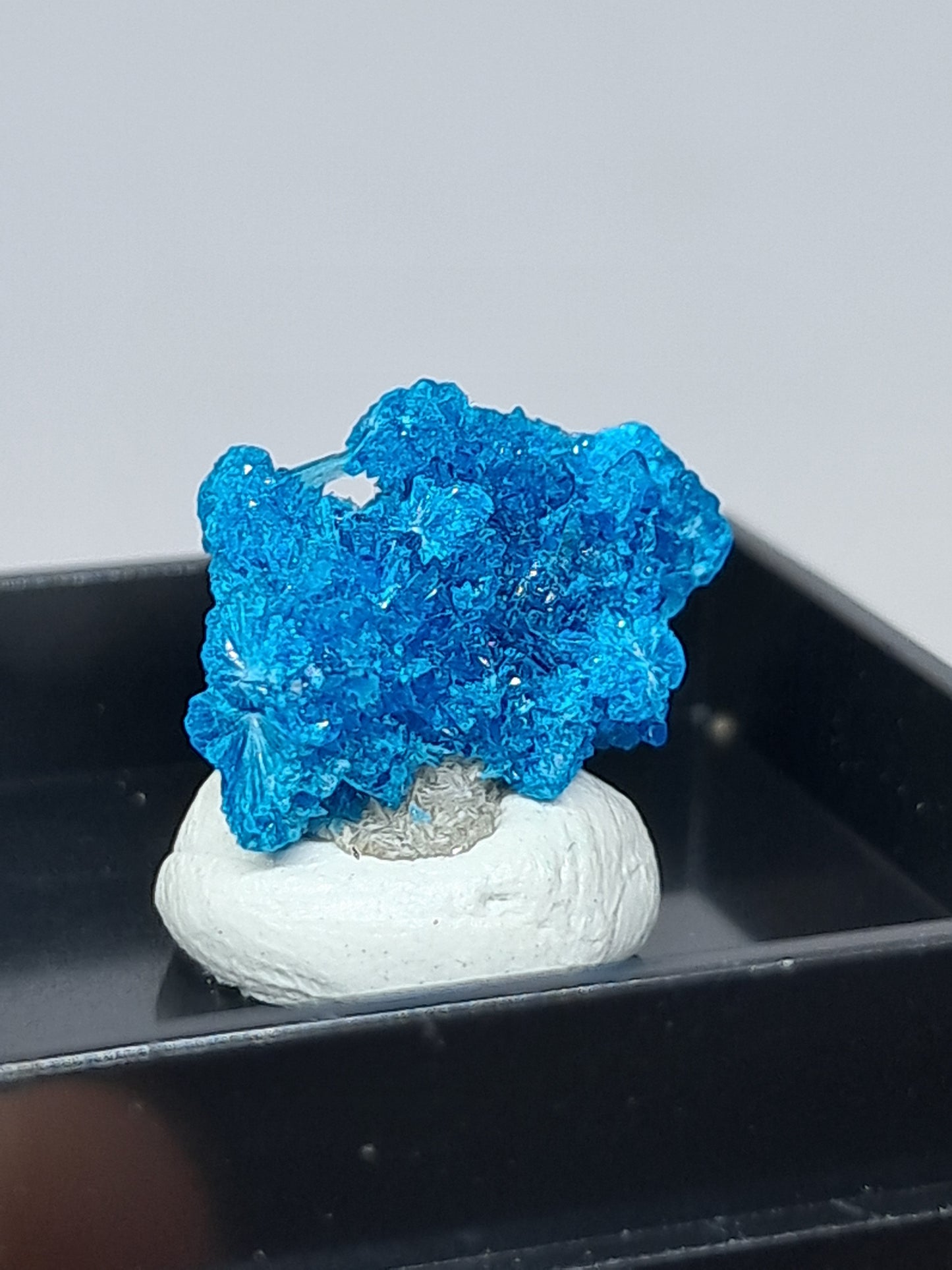 Pentagonite (Wagholi) Rough Stone | Natural Crystal | Rare Mineral Specimen #CV57