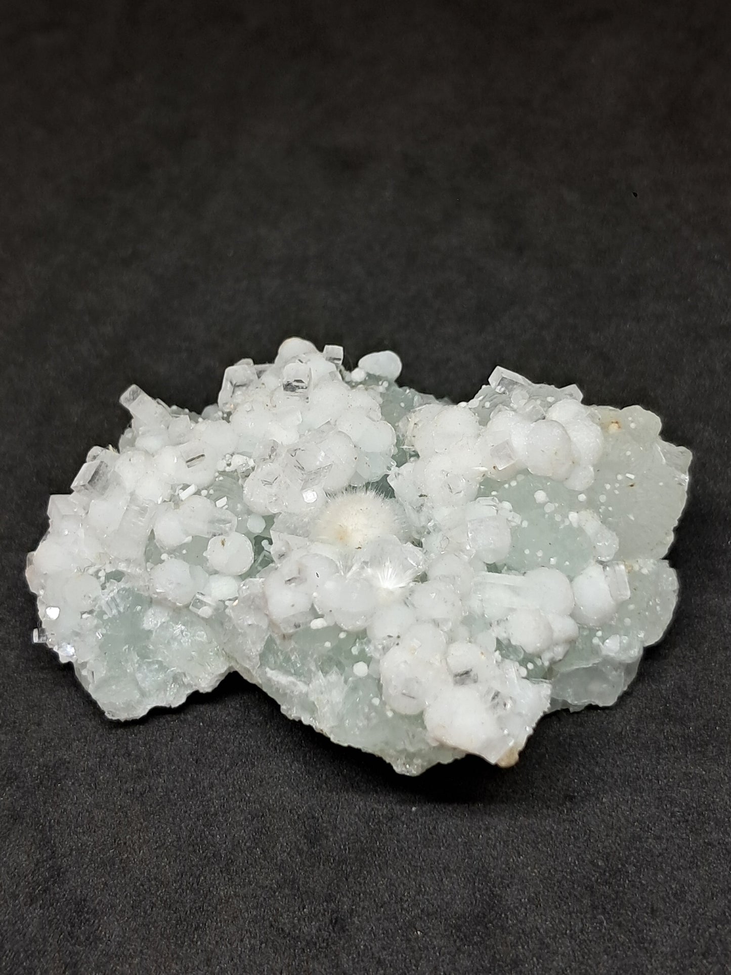 Okenite w/ Gyrolite and Apophyllite Cluster on Prehenite Matrix (Mumbai) Mineral Specimen | Collector Grade | Natural Crystal #OK46