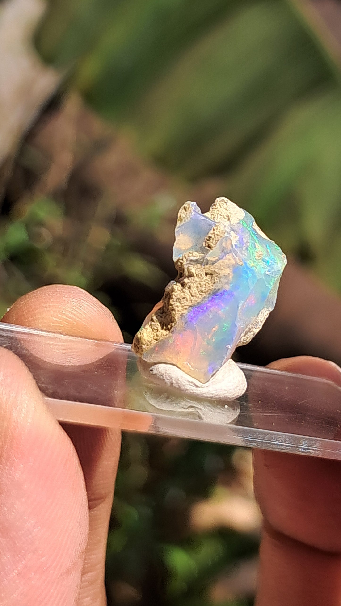 Natural Ethiopian Opal Rough | White Hydrophane Opal w/ Bright Play of Color #OP1
