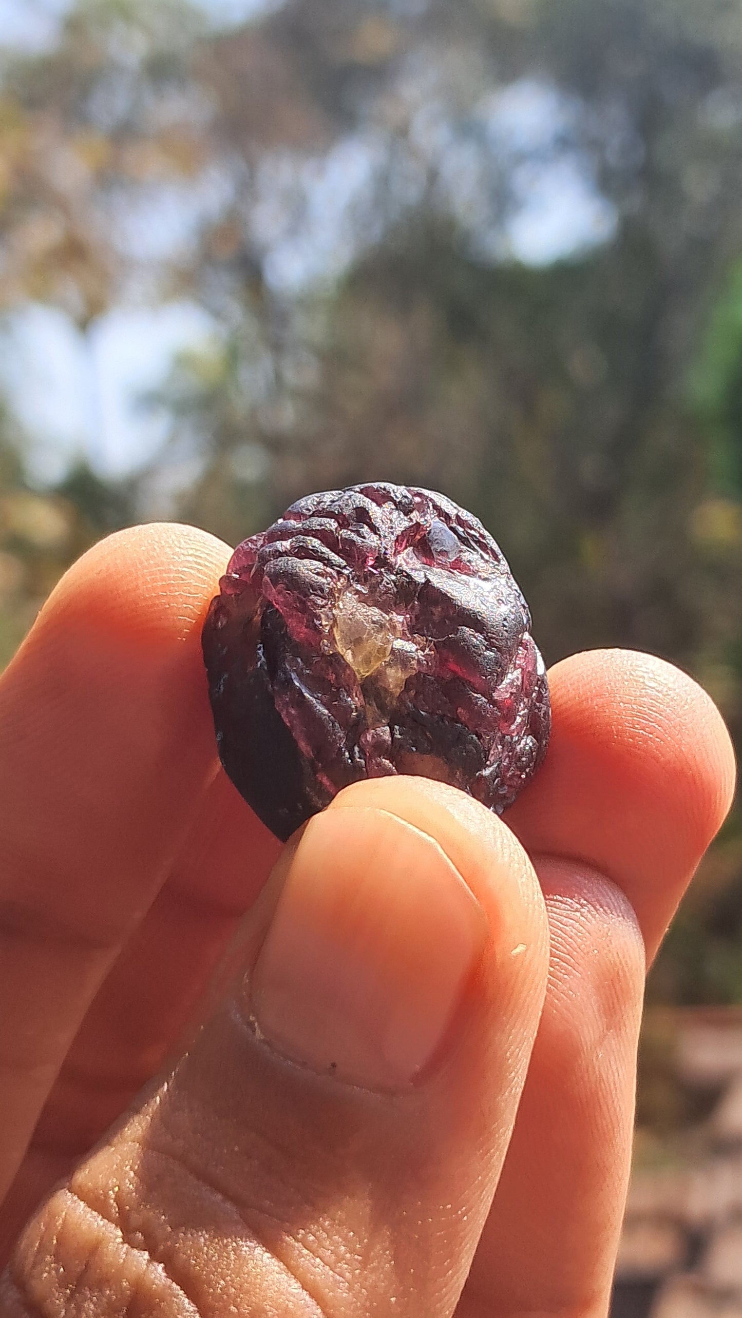 Red Garnet (Karur) | River worn | Natural Stone #RG1