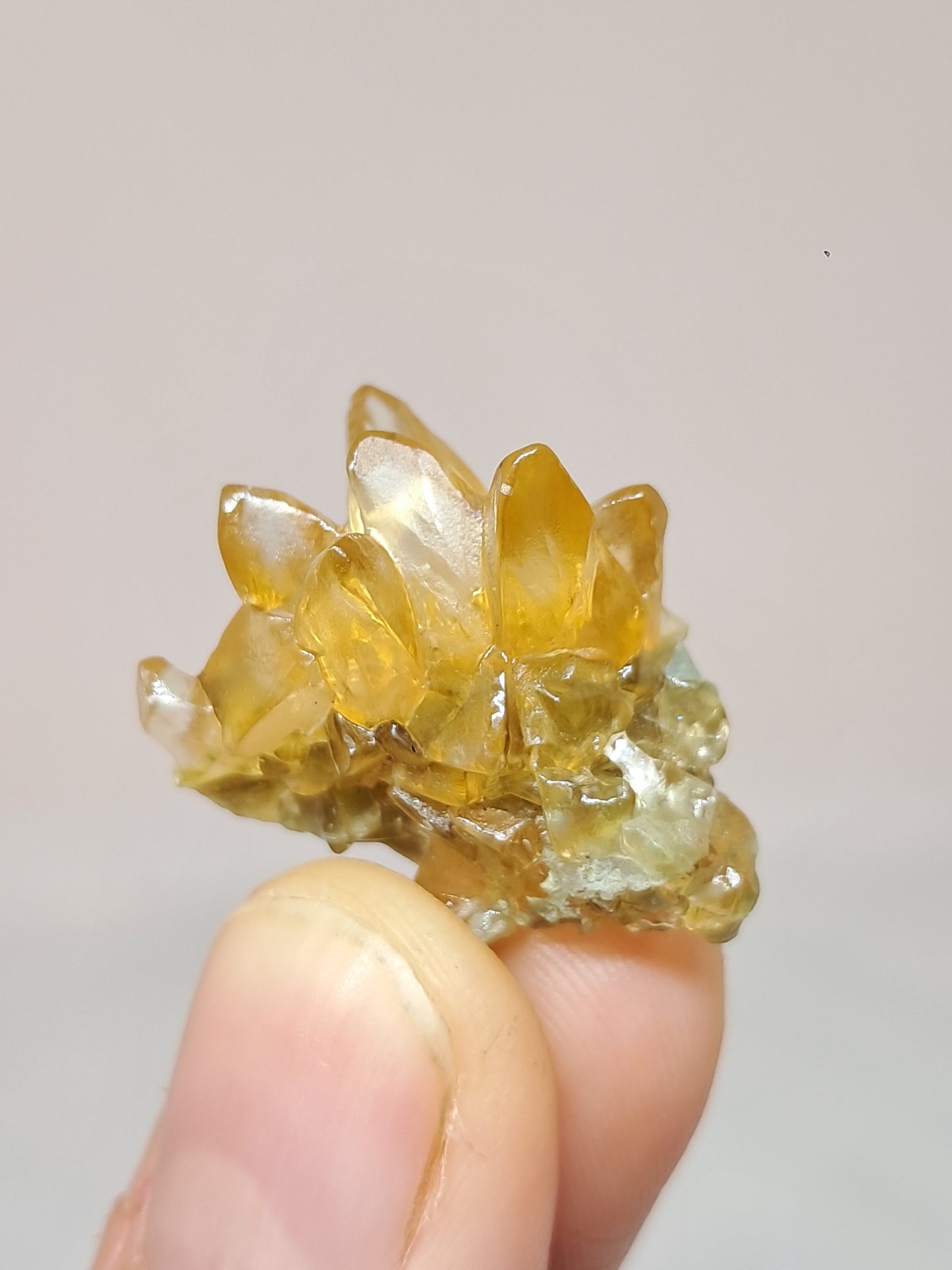 Calcita amarilla miel (Maharashtra) Formación de diente de perro | Cristal natural | Ejemplar mineral n.° CA23