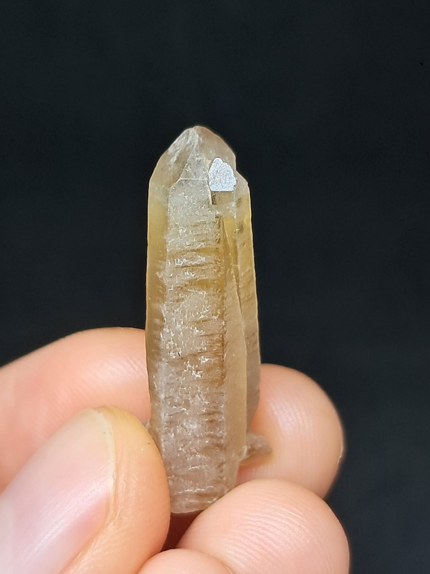 Natural Citrine Point (Karur) | Natural Crystal | Mineral Specimen #CTN40