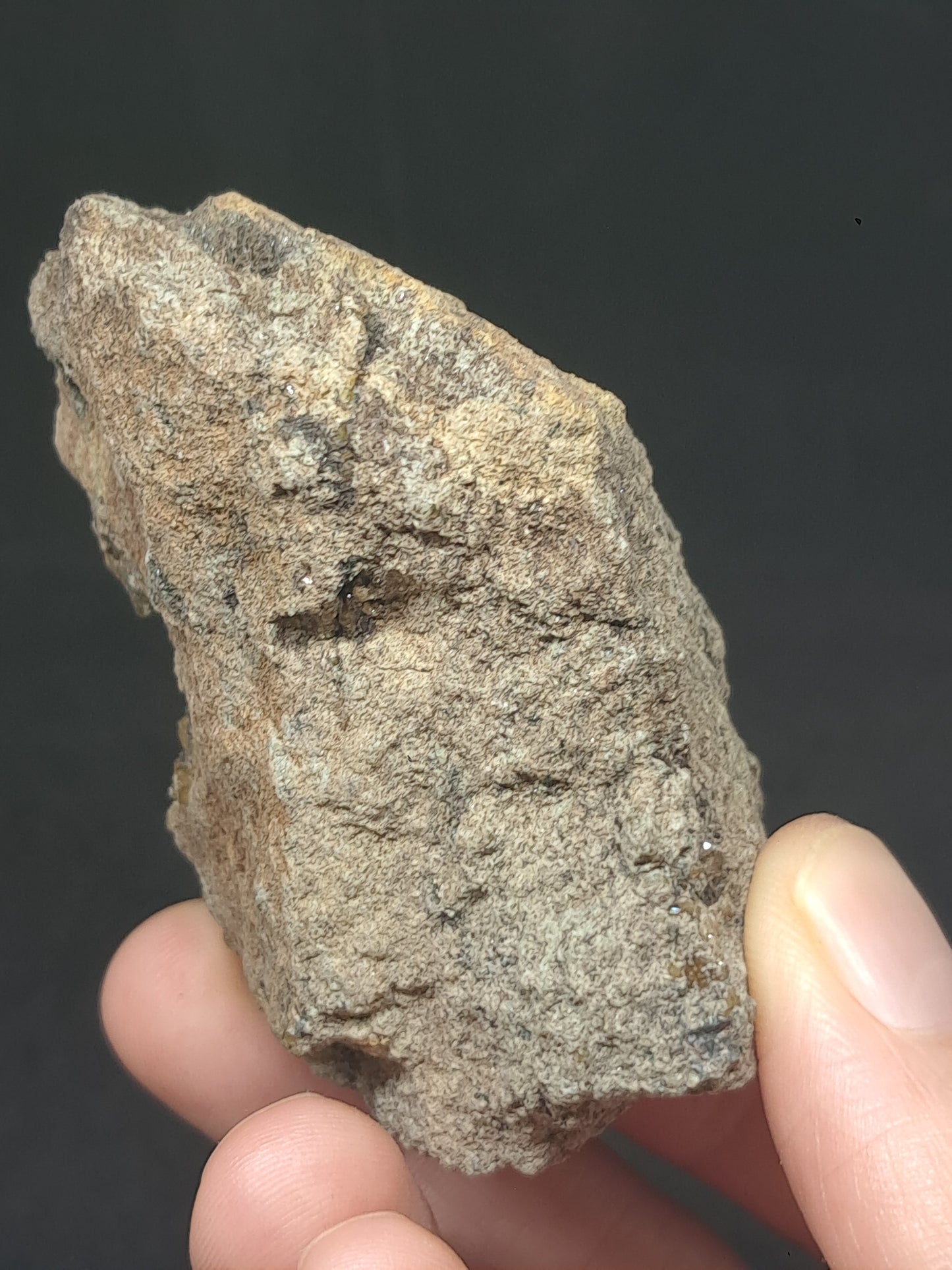 Green Garnet on Matrix (Mexico) Andradite Garnet Cluster |Rough Crystal Stone | Mineral Specimen #GR26