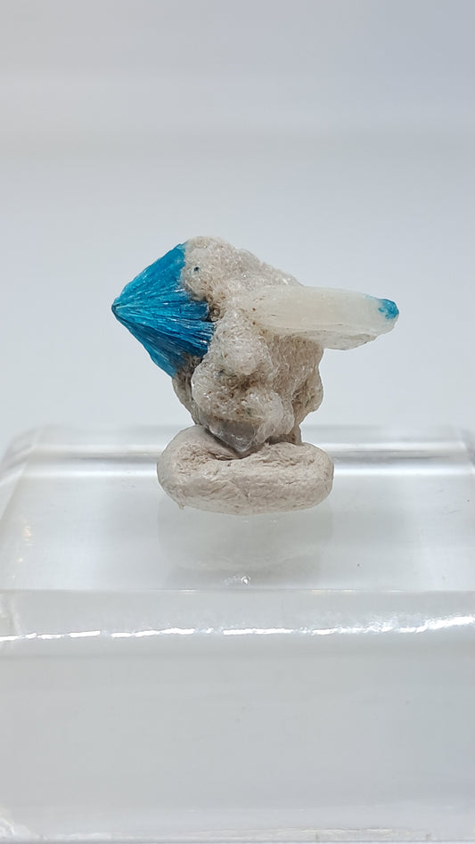 Cavansita y Estilbita en Matriz de Heulandita (Wagholi) Cristal en Bruto | Piedra Natural | Espécimen Mineral Raro #CV65