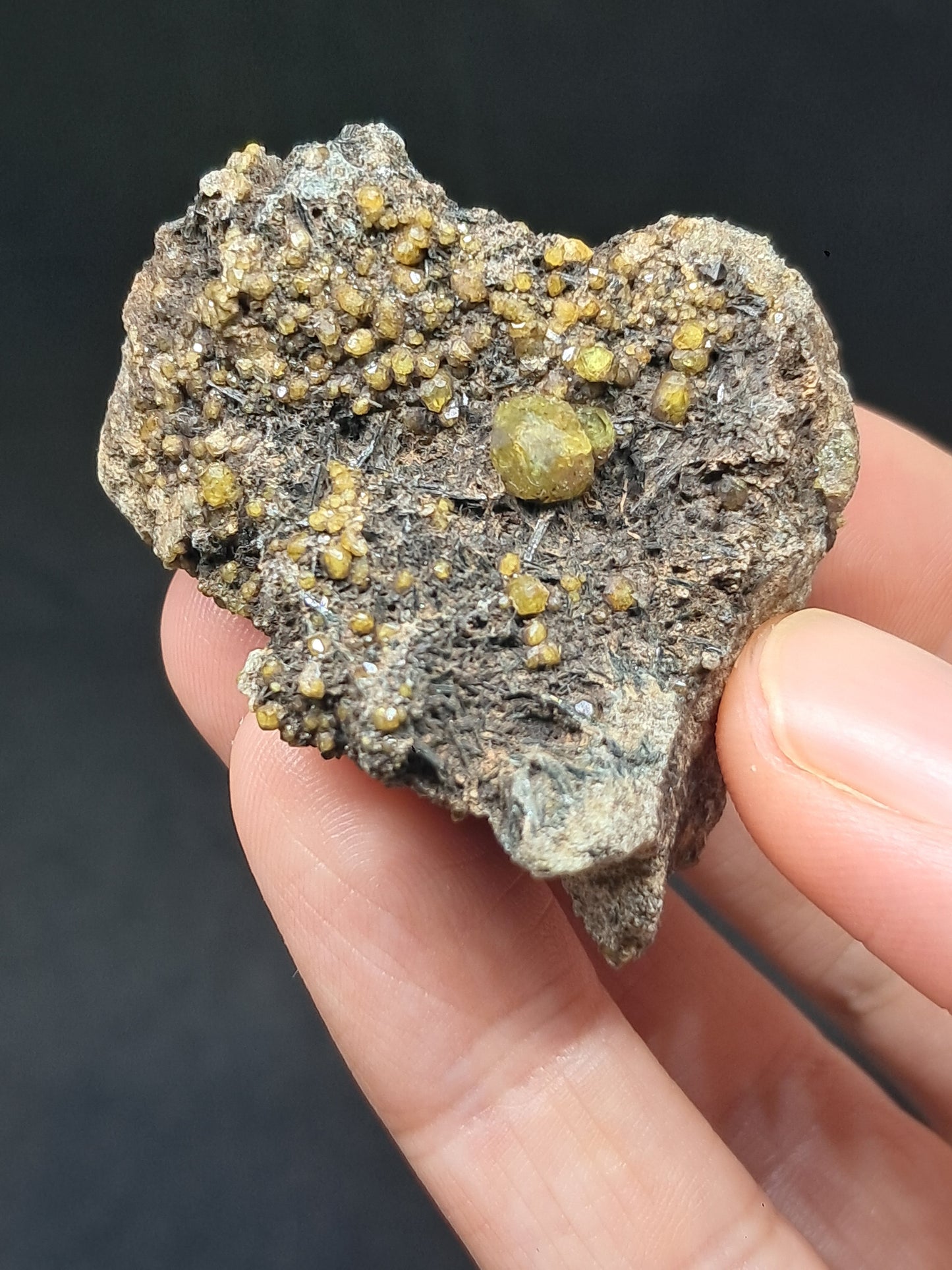 Green Garnet w/ Aegirine (Acmite) on Matrix (Mexico) Andradite Garnet Cluster |Rough Crystal Stone | Mineral Specimen #GR28