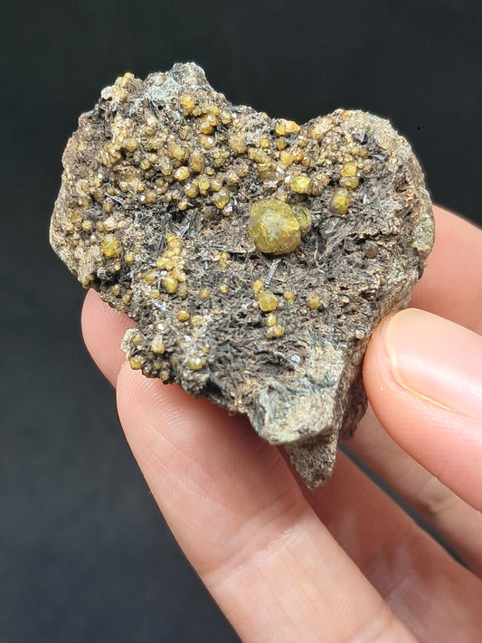 Green Garnet w/ Aegirine (Acmite) on Matrix (Mexico) Andradite Garnet Cluster |Rough Crystal Stone | Mineral Specimen #GR28