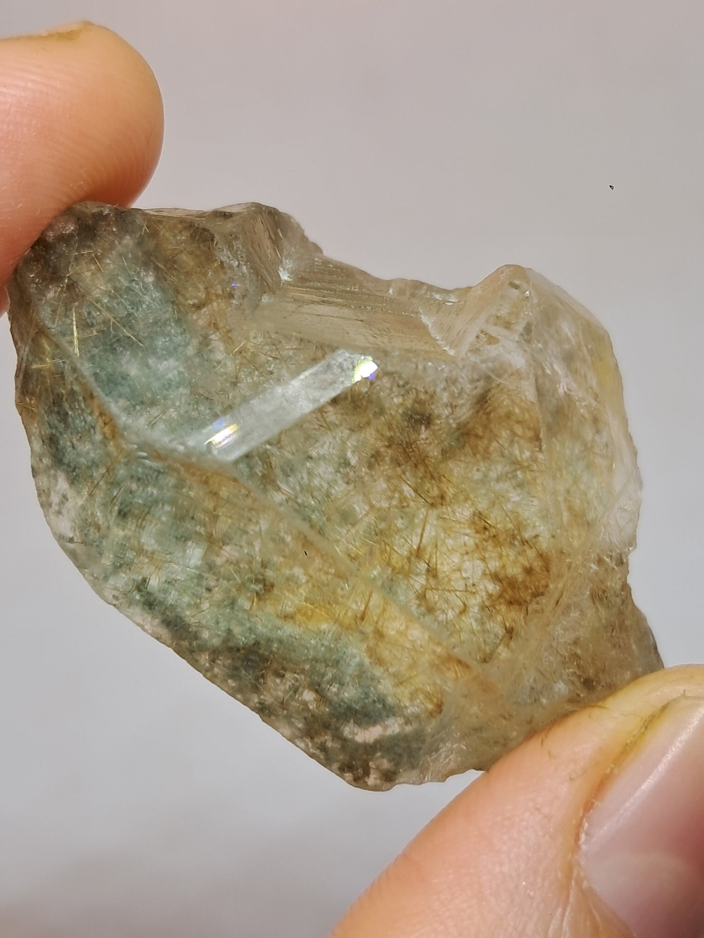 Quartz w/ Chlorite and Golden Rutile Inclusions (Himachal Pradesh) Rough Stone | Natural Crystal | Mineral Specimen #CH40
