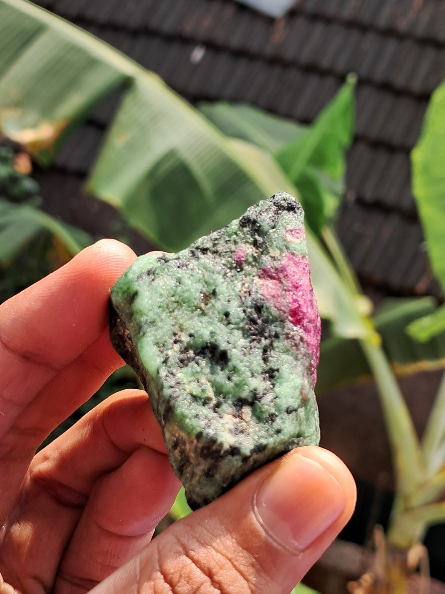 Ruby Zoisite w/ Hornblende (Tanzania) Rough Stone | Natural Specimen #RZ8