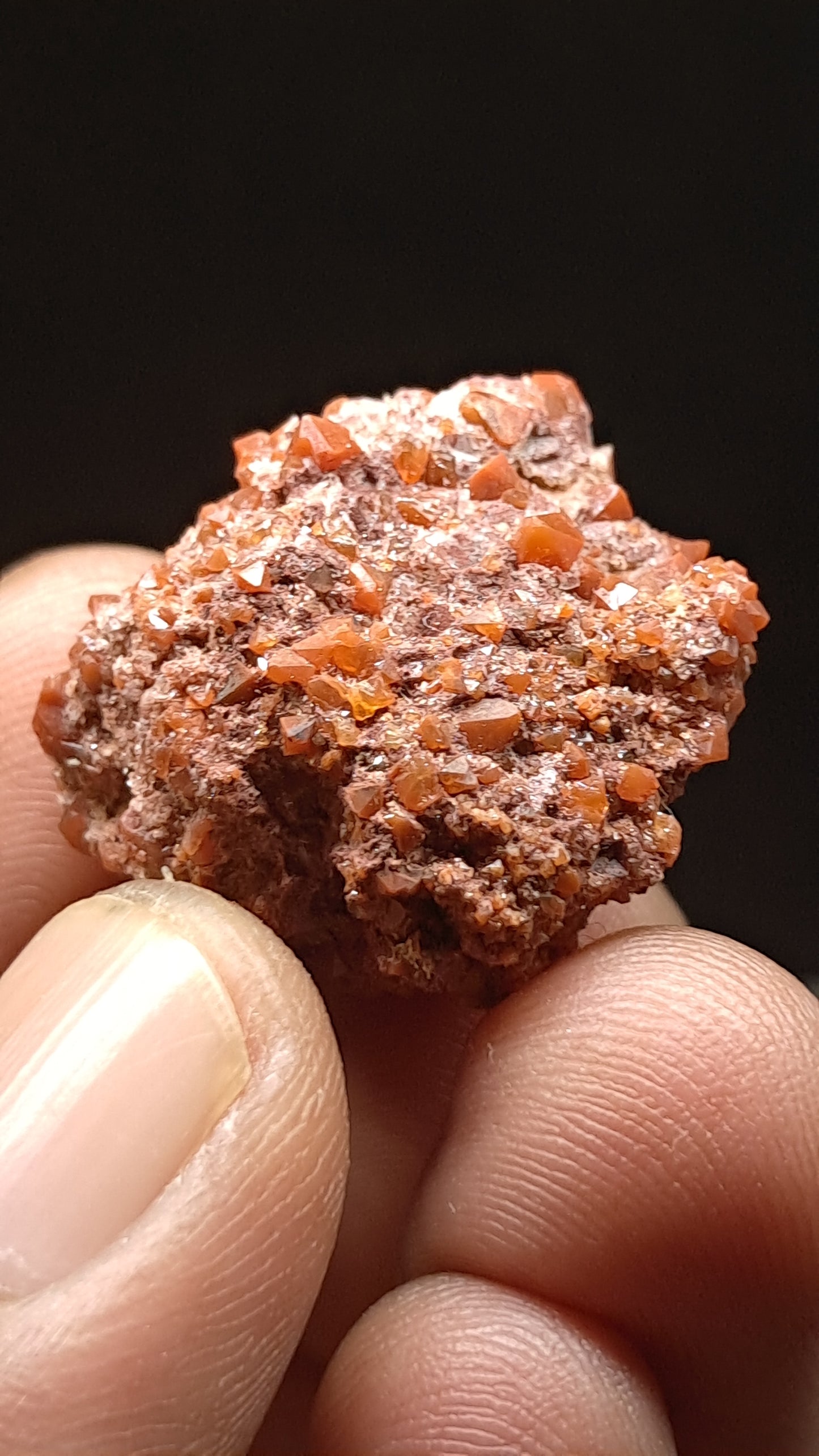 Jacinto de Compostela Quartz On Matrix | Natural Crystal | Mineral Specimen #JCQ9