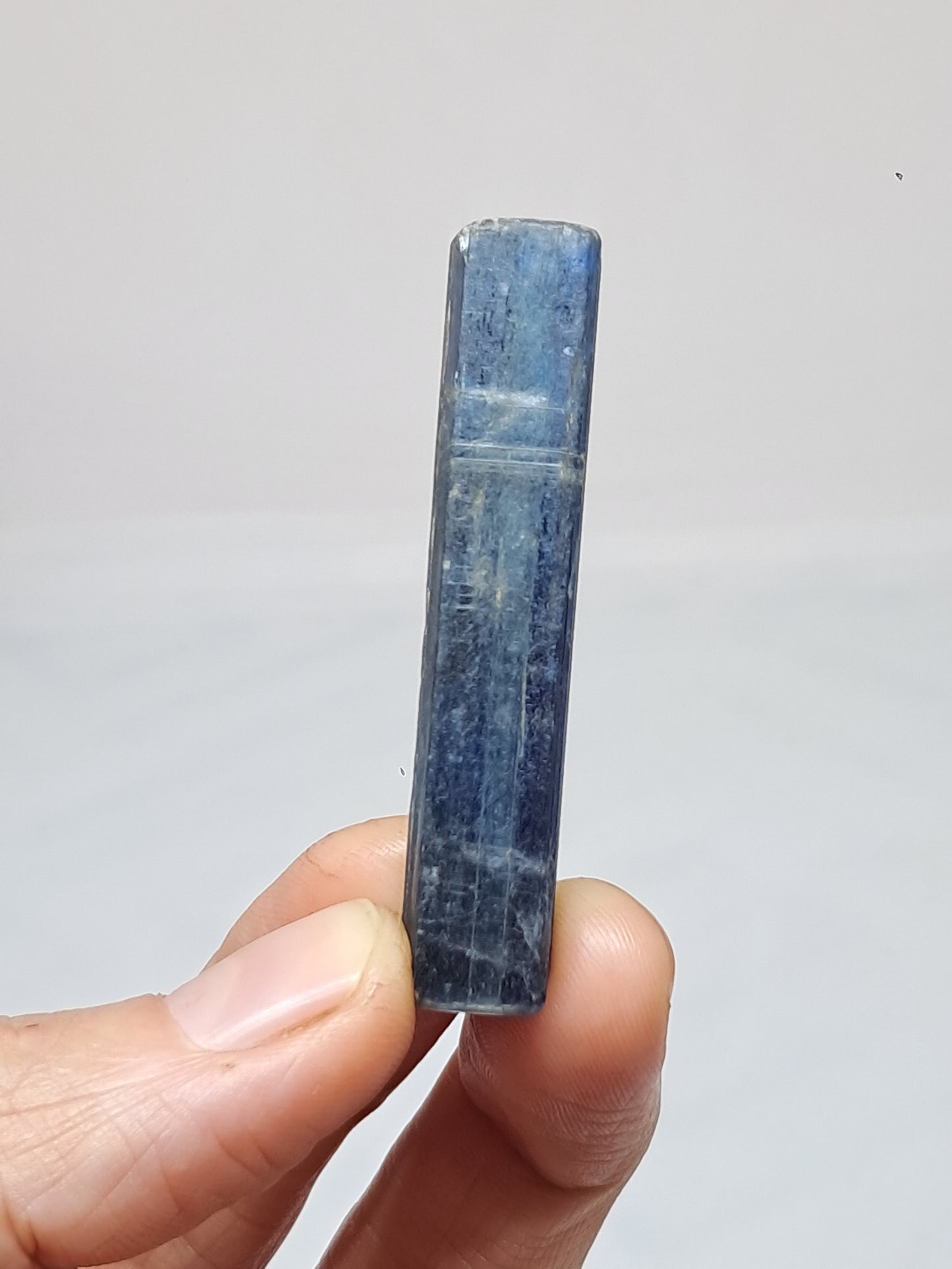 Blue Kyanite (Nepal) Natural Crystal #KY12