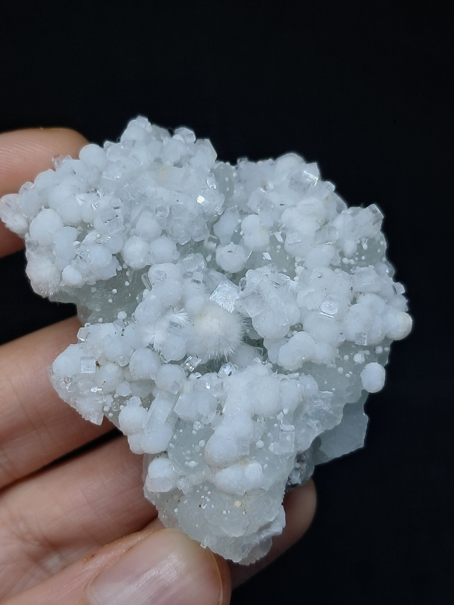 Okenite w/ Gyrolite and Apophyllite on Prehenite Matrix (Mumbai) Mineral Specimen | Collector Grade | Natural Crystal #OK23