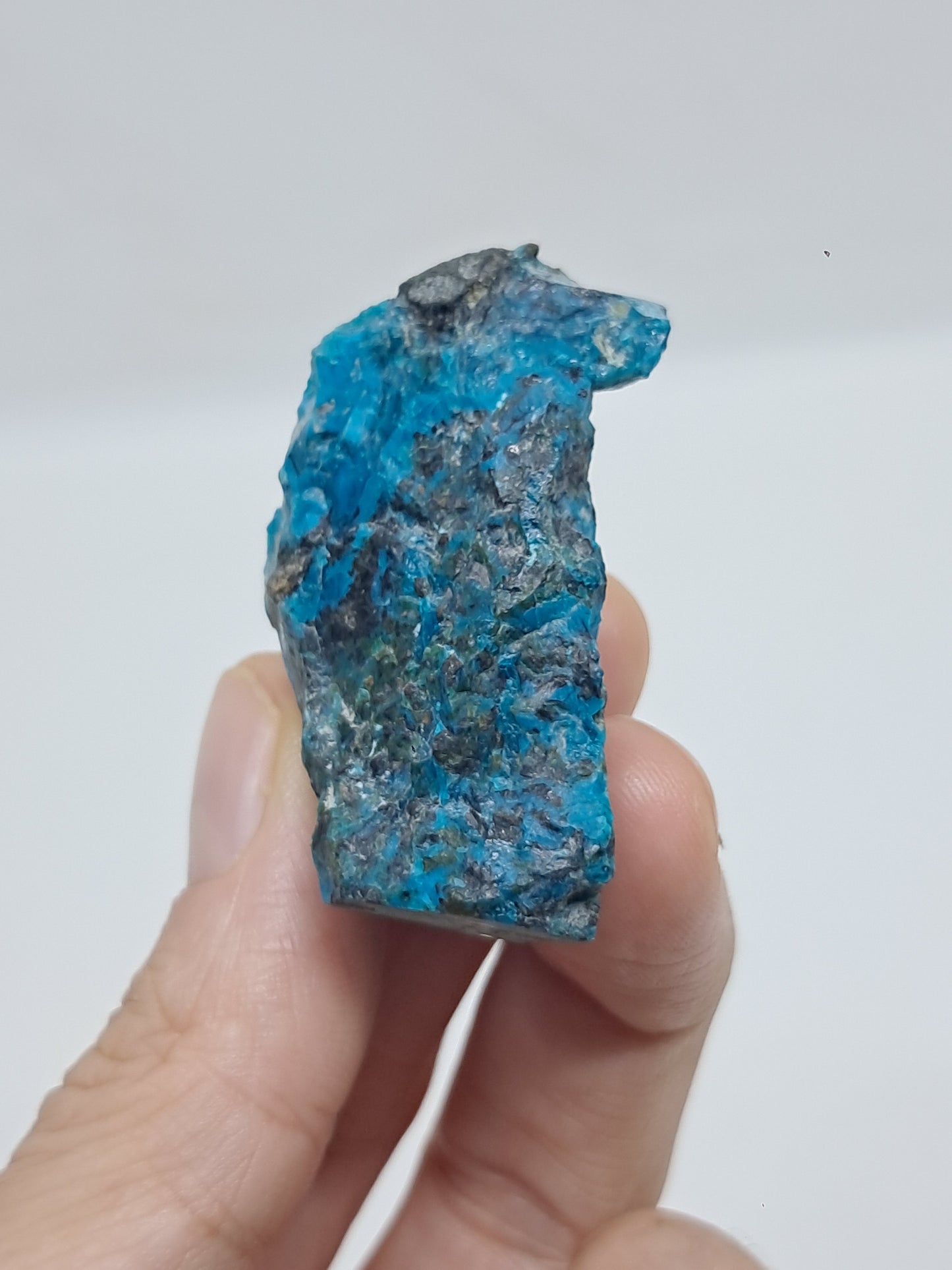 Blue Opal from Chile (Atacama) *New Find*| Rough Natural Stone | Rare Mineral Specimen #CBO2
